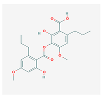Biomolecules 10 00087 i024