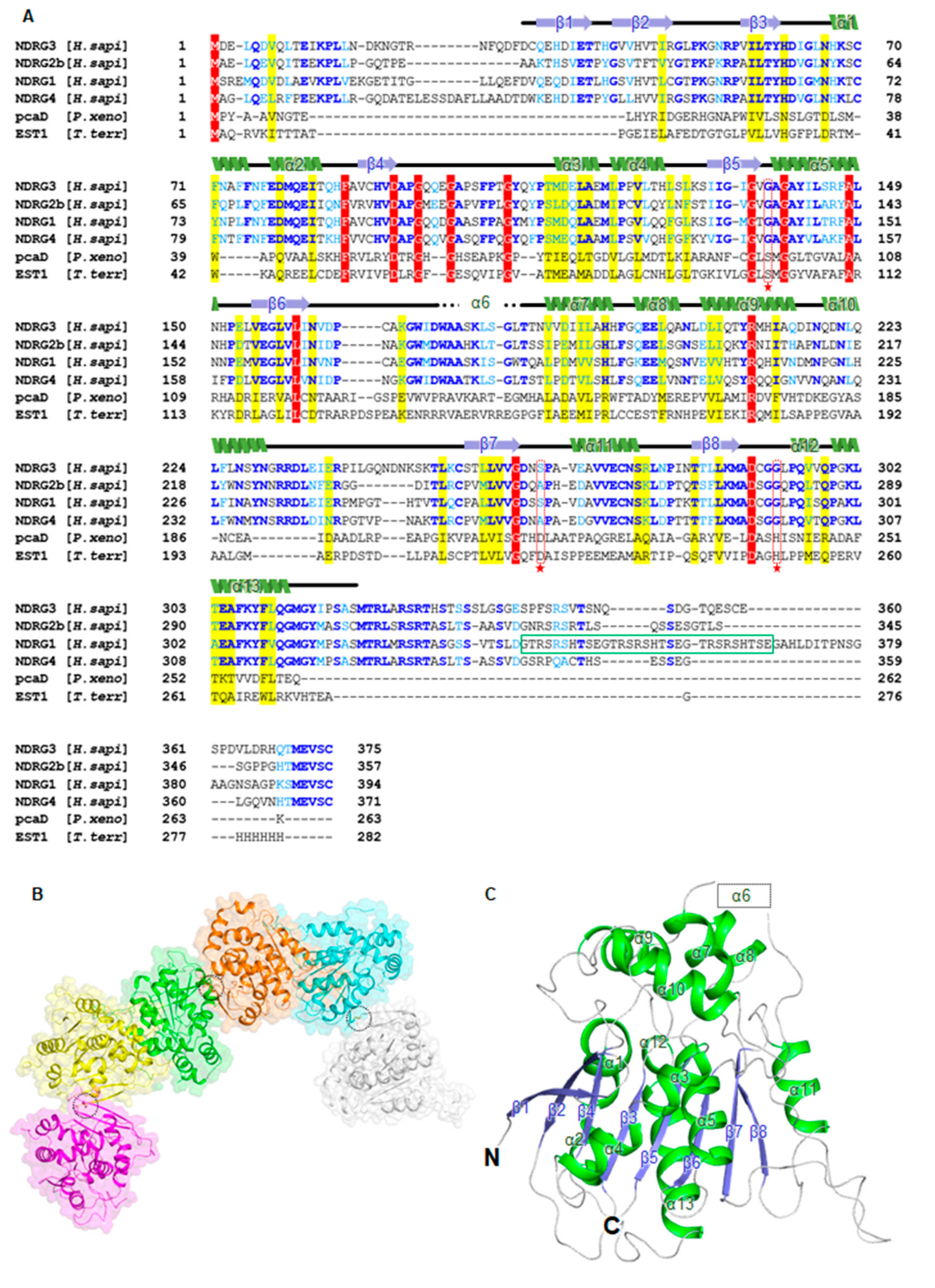Biomolecules 10 00090 g001