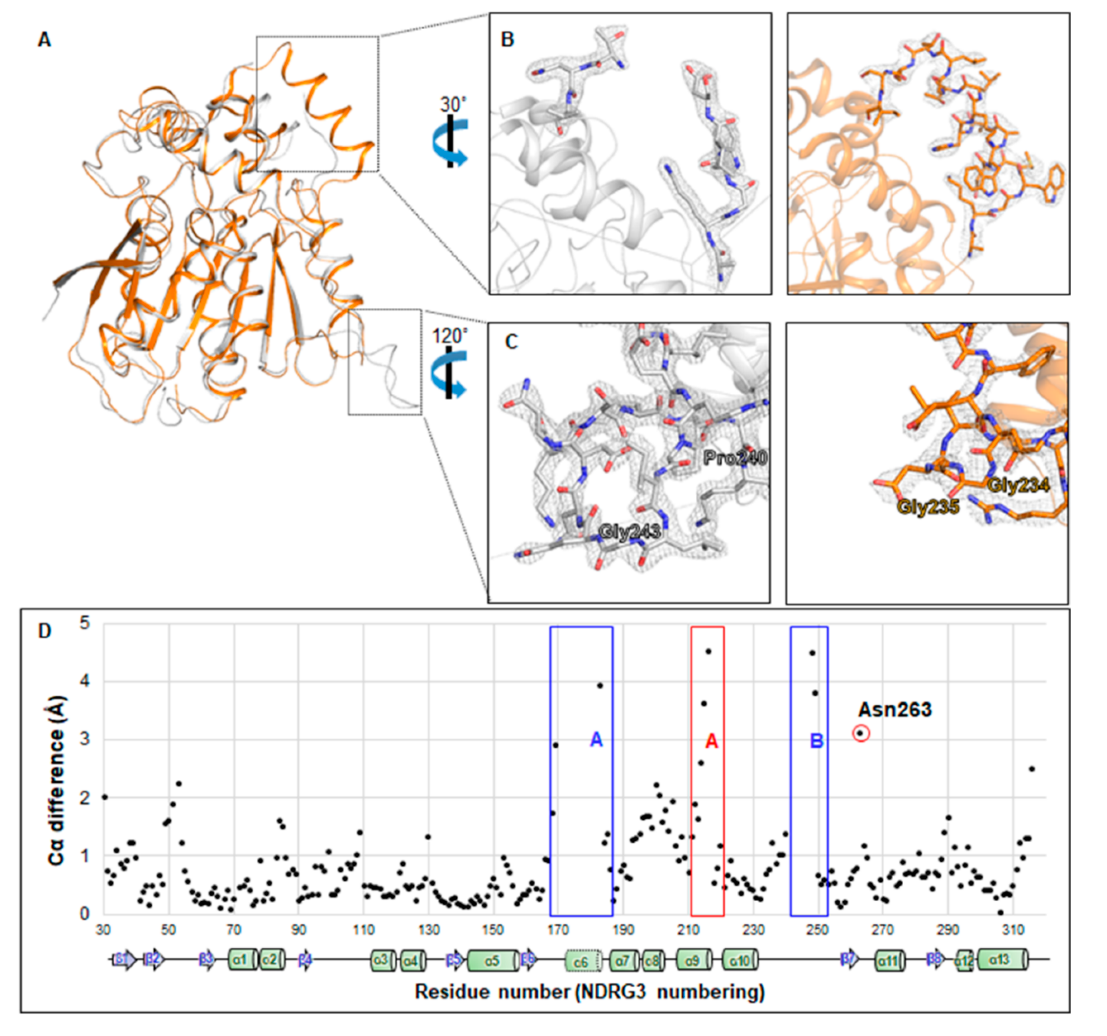 Biomolecules 10 00090 g003
