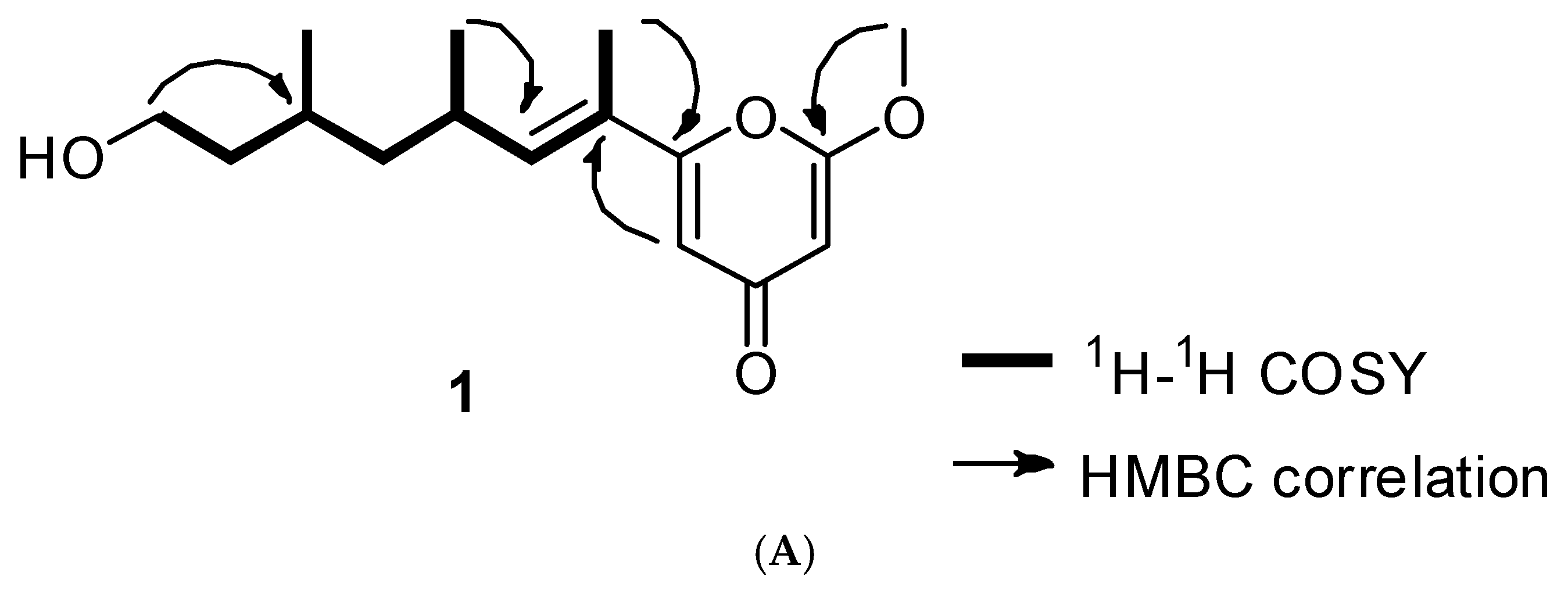 Biomolecules 10 00091 g002a