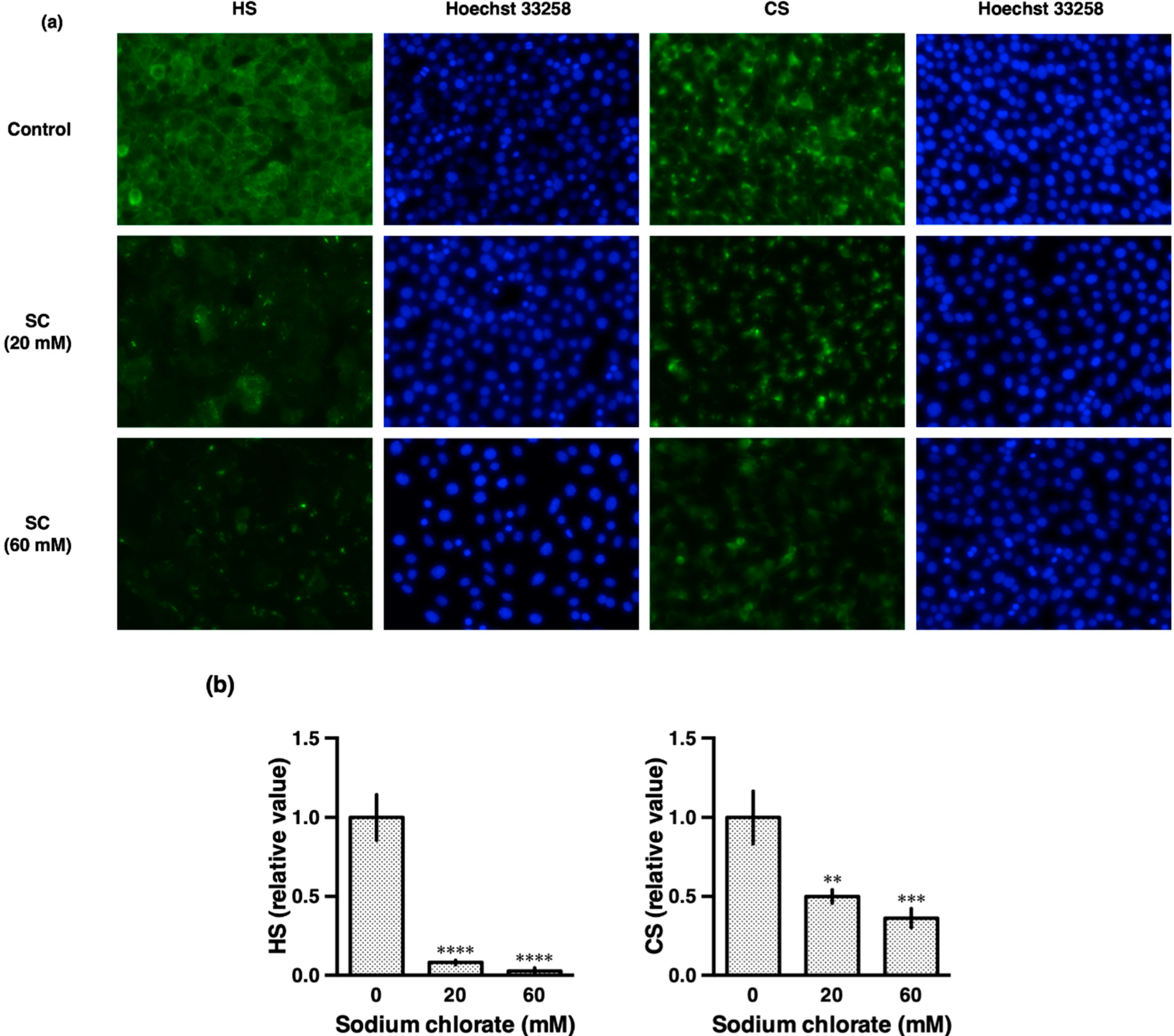 Biomolecules 10 00092 g002 Biomolecules 10 00092 g002