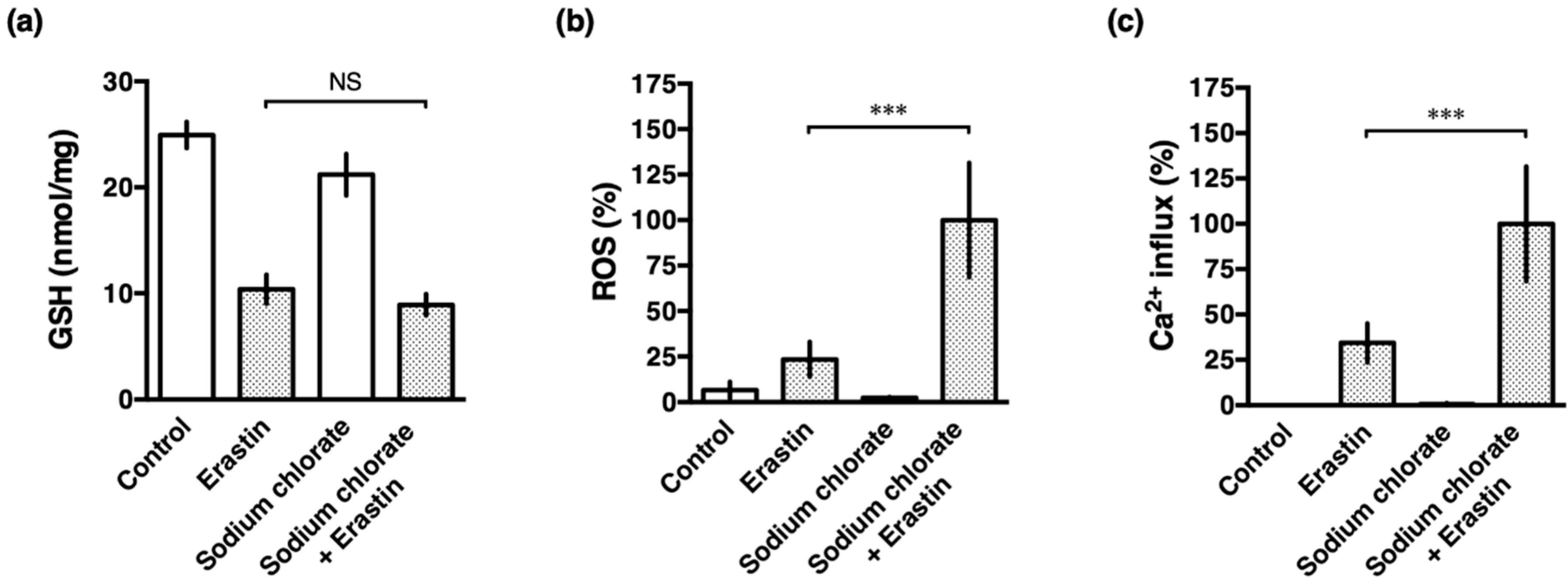 Biomolecules 10 00092 g005 Biomolecules 10 00092 g005