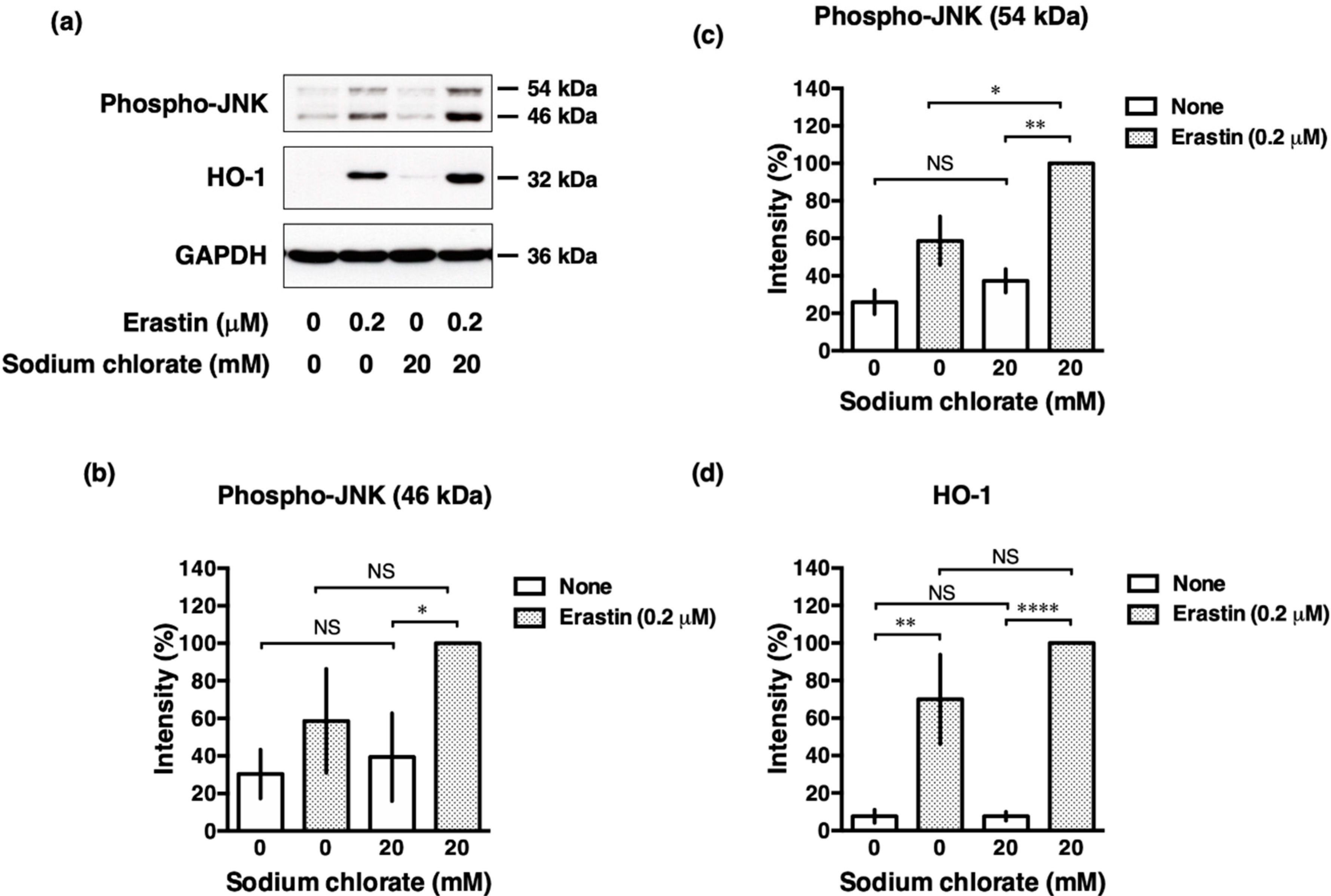 Biomolecules 10 00092 g007 Biomolecules 10 00092 g007