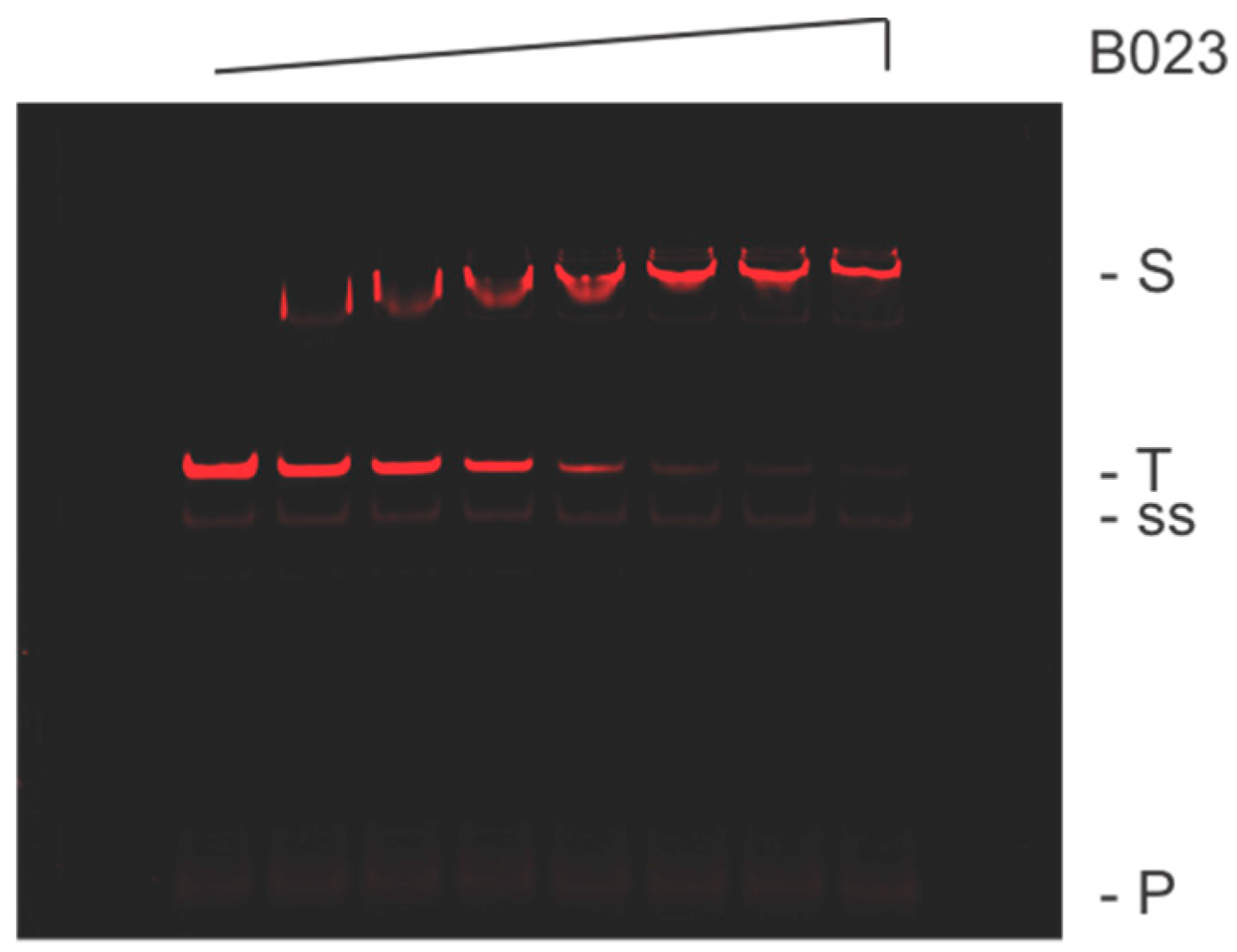Biomolecules 10 00094 g003 Biomolecules 10 00094 g003