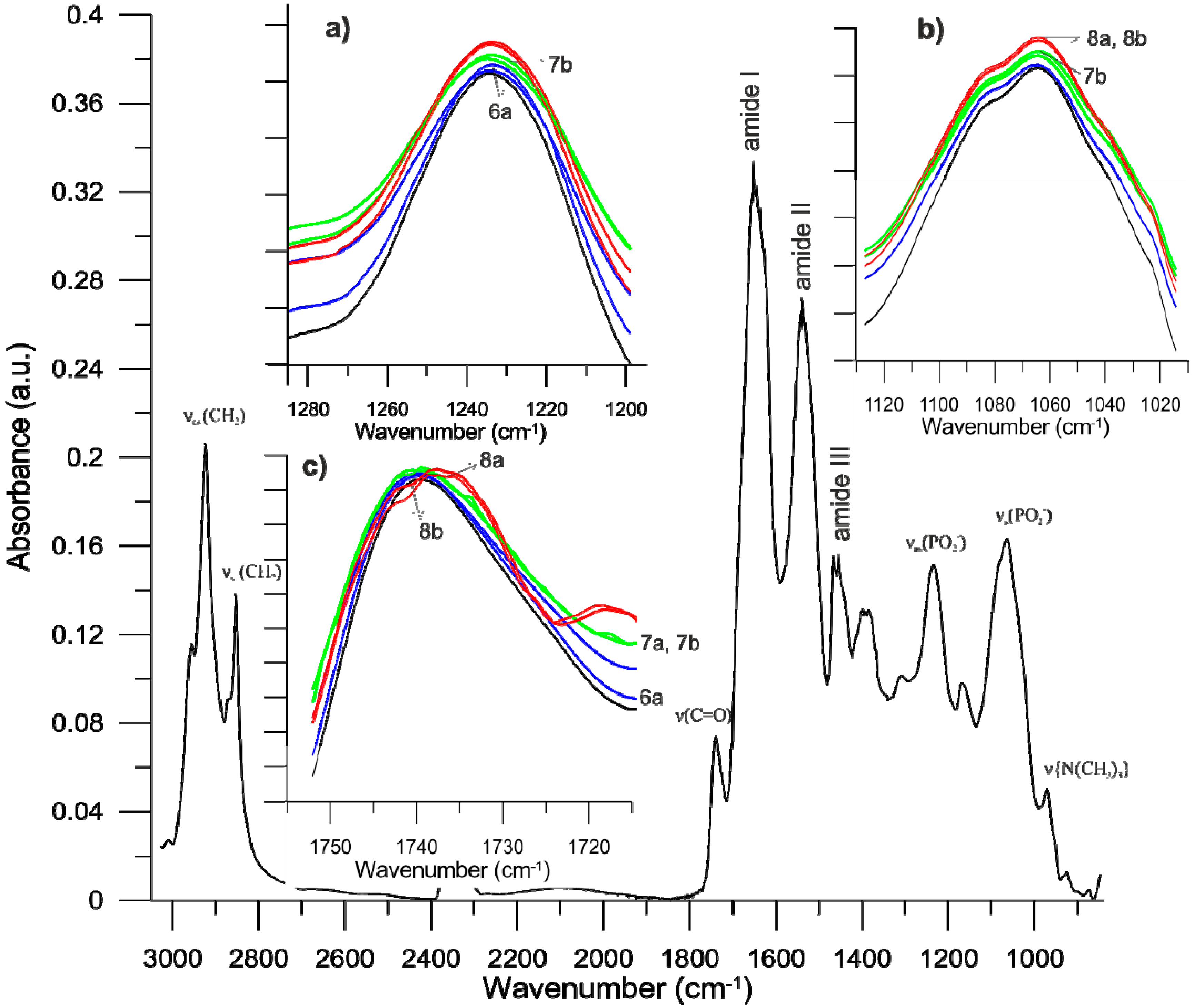 Biomolecules 10 00095 g005