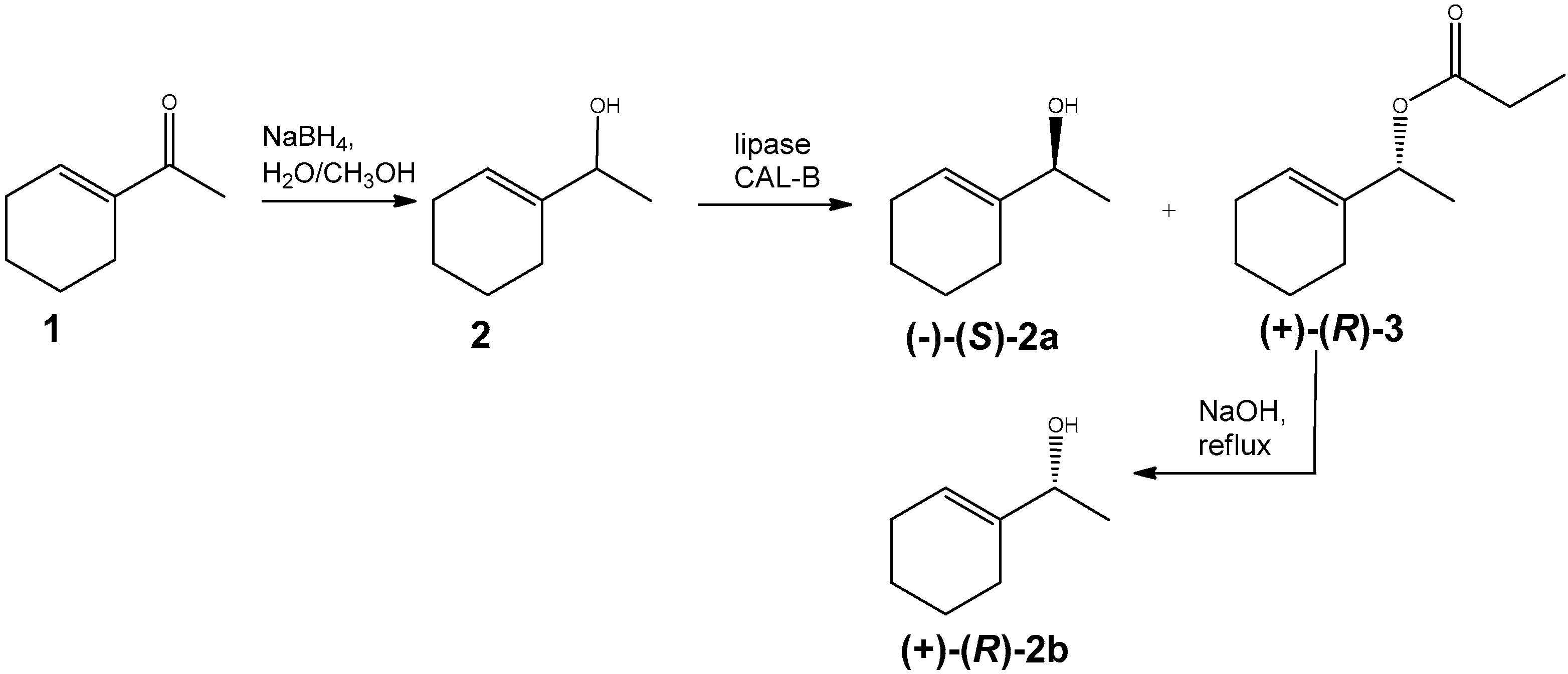 Biomolecules 10 00095 sch001