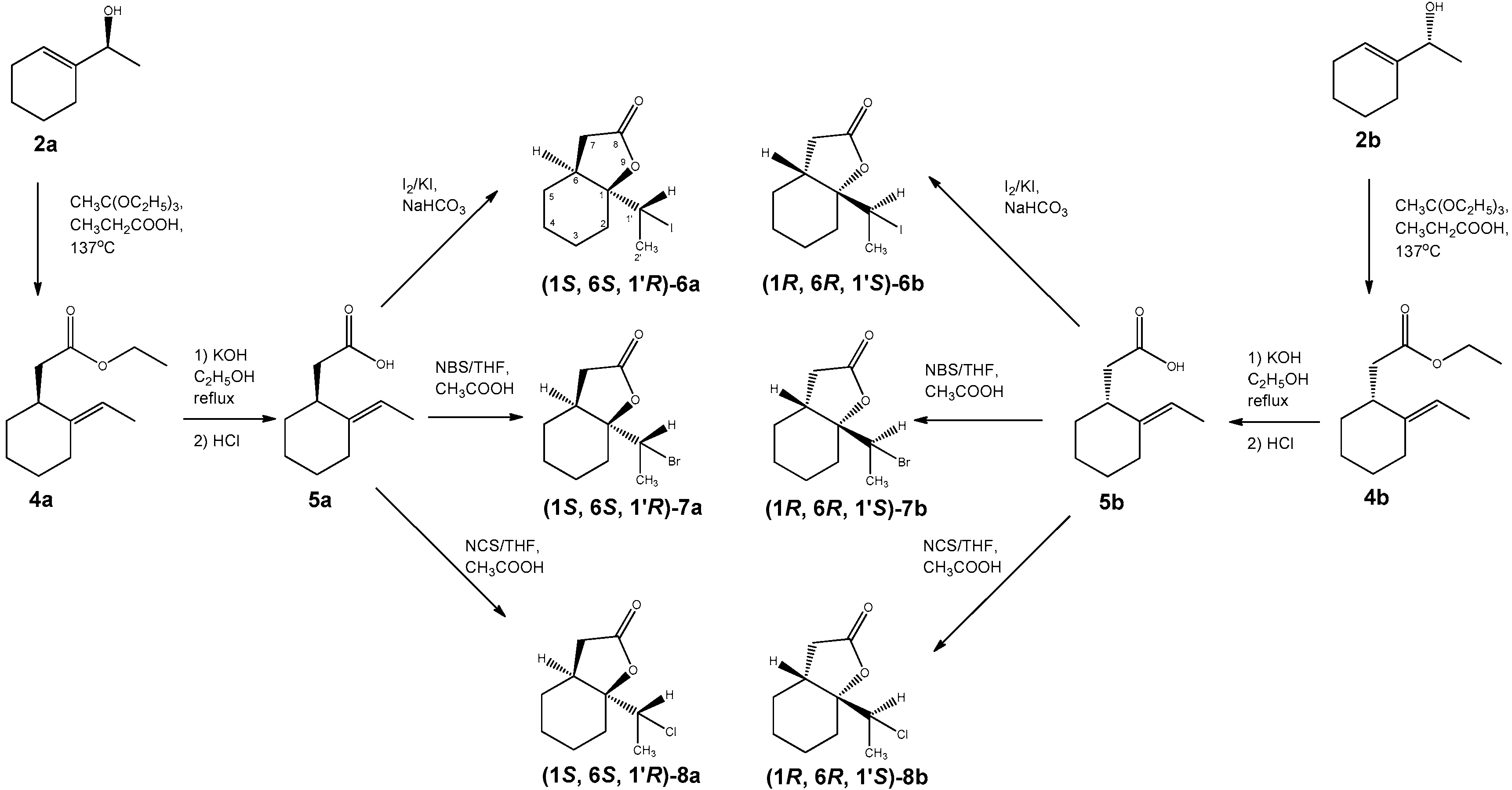 Biomolecules 10 00095 sch003