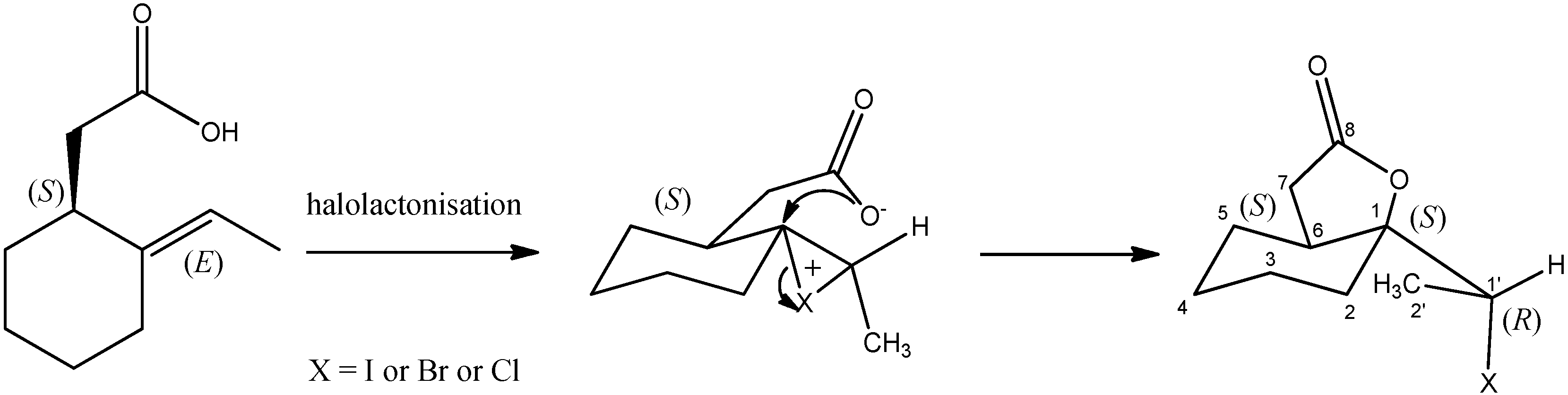 Biomolecules 10 00095 sch004