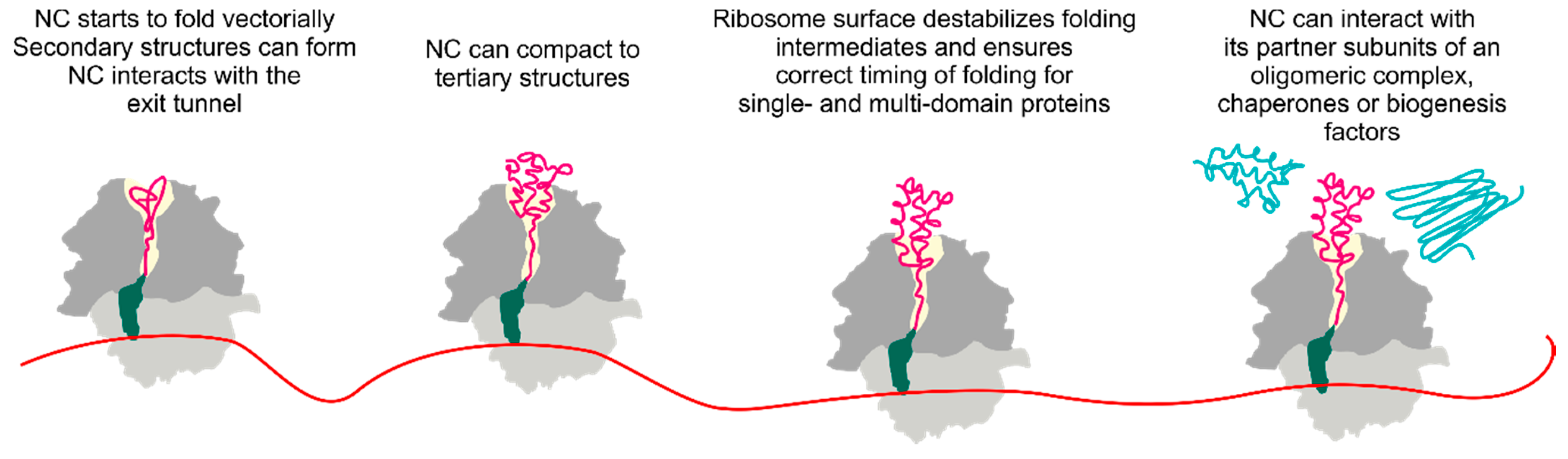 Biomolecules 10 00097 g001