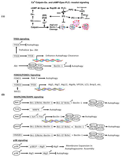 Biomolecules 10 00100 g002
