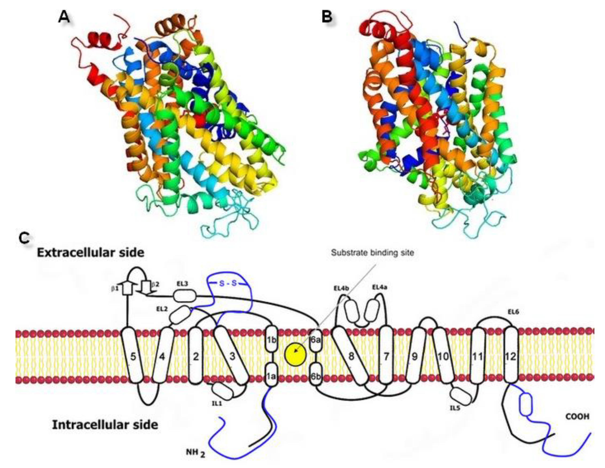 Biomolecules 10 00102 g003