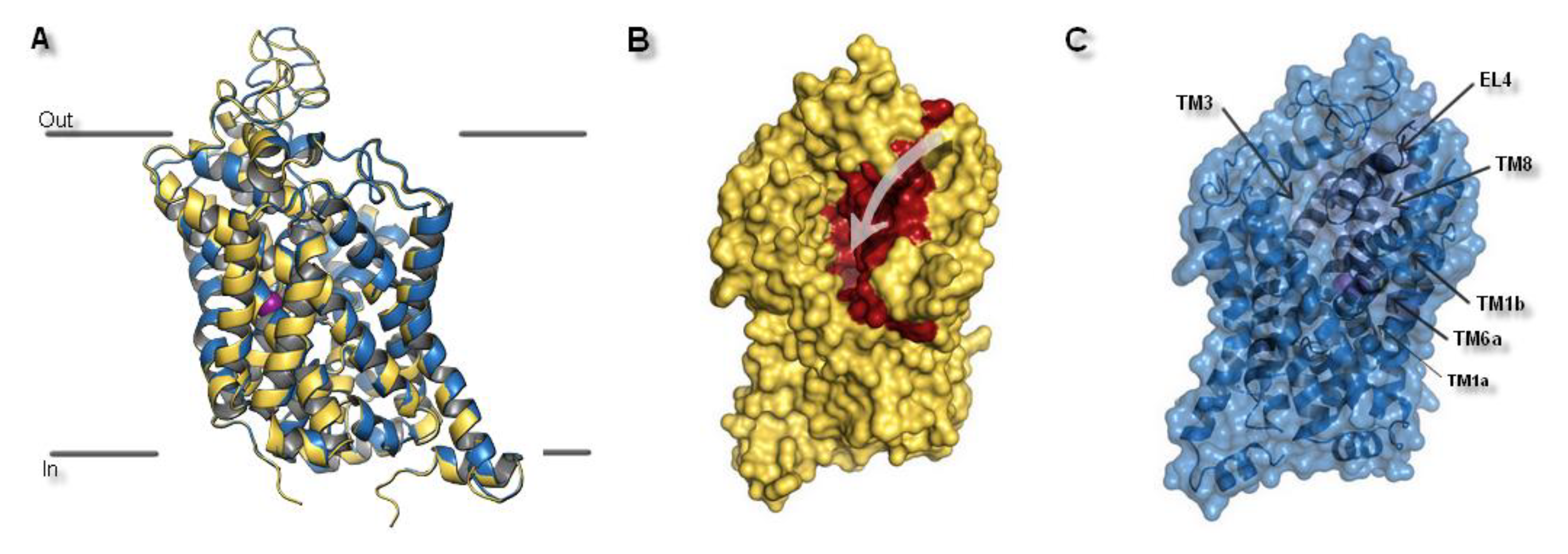 Biomolecules 10 00102 g004