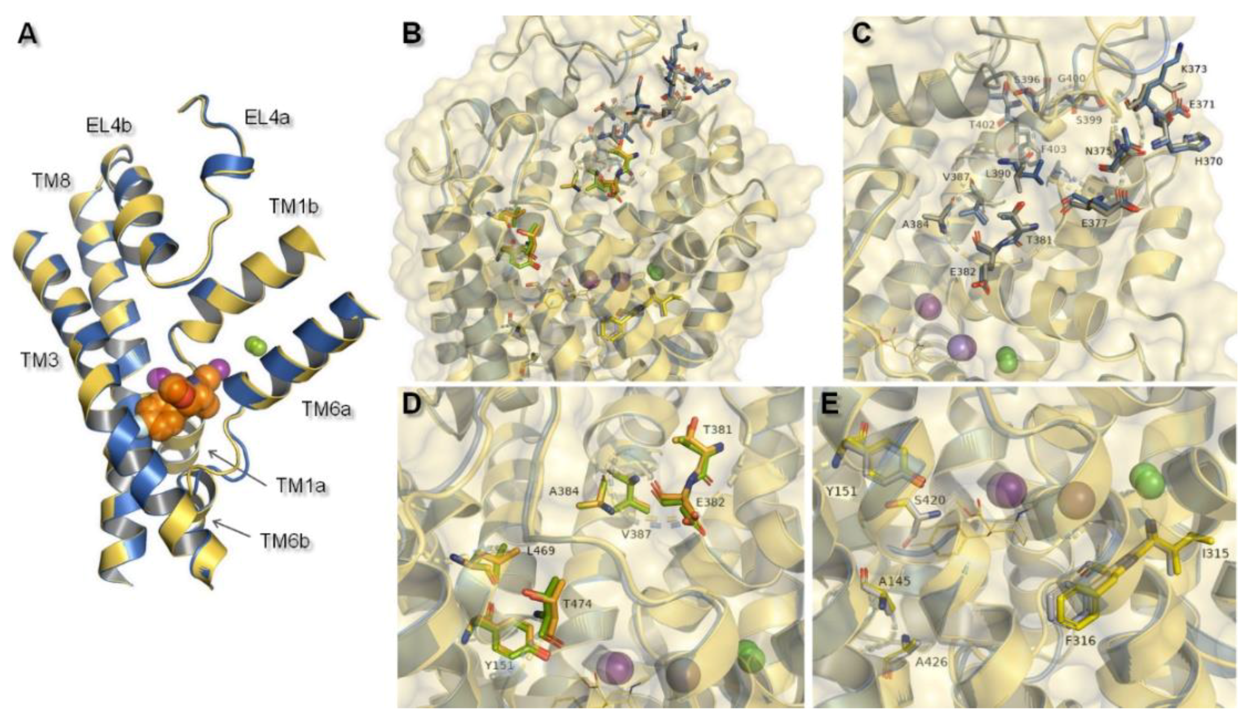 Biomolecules 10 00102 g005