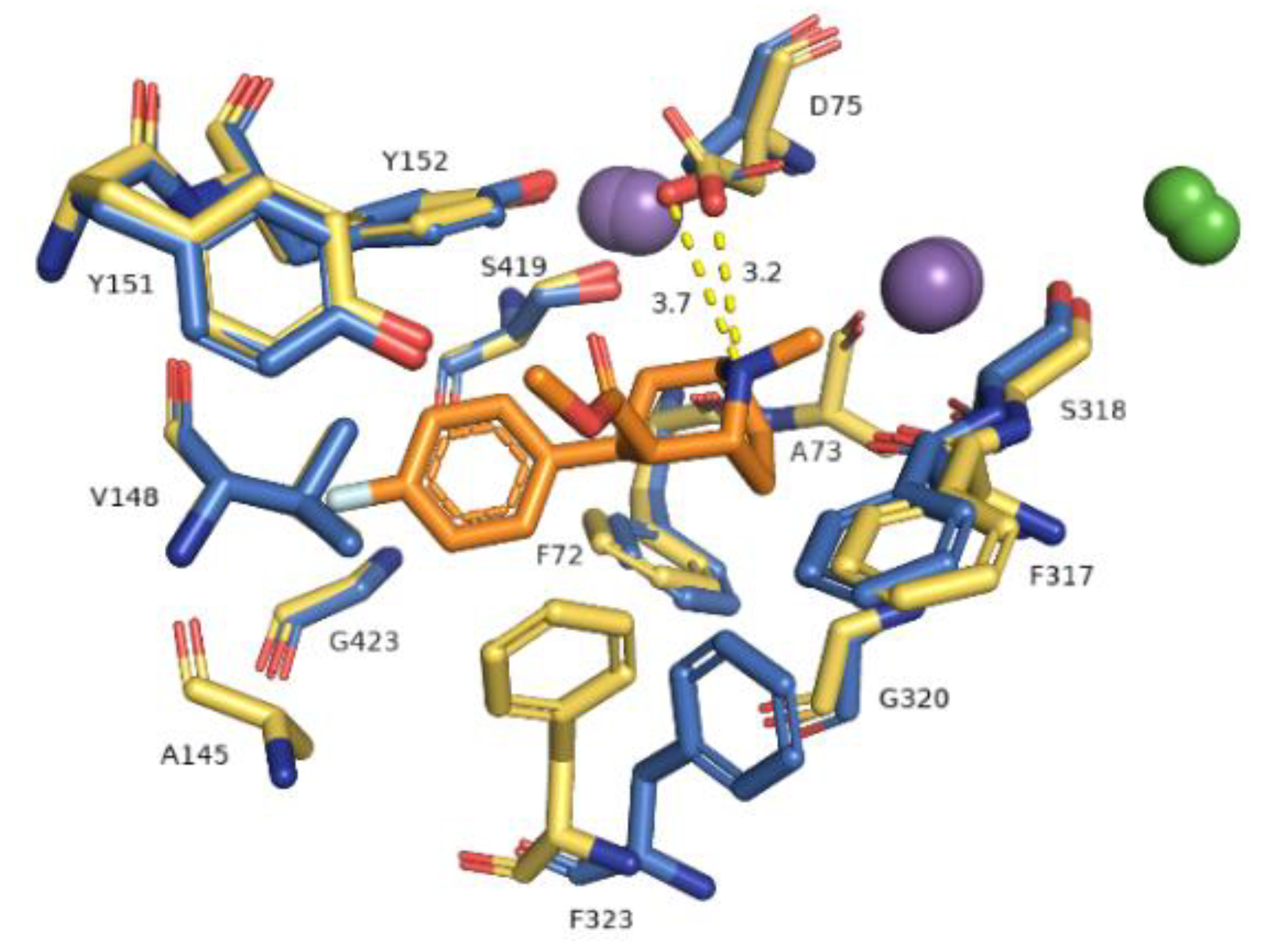 Biomolecules 10 00102 g006