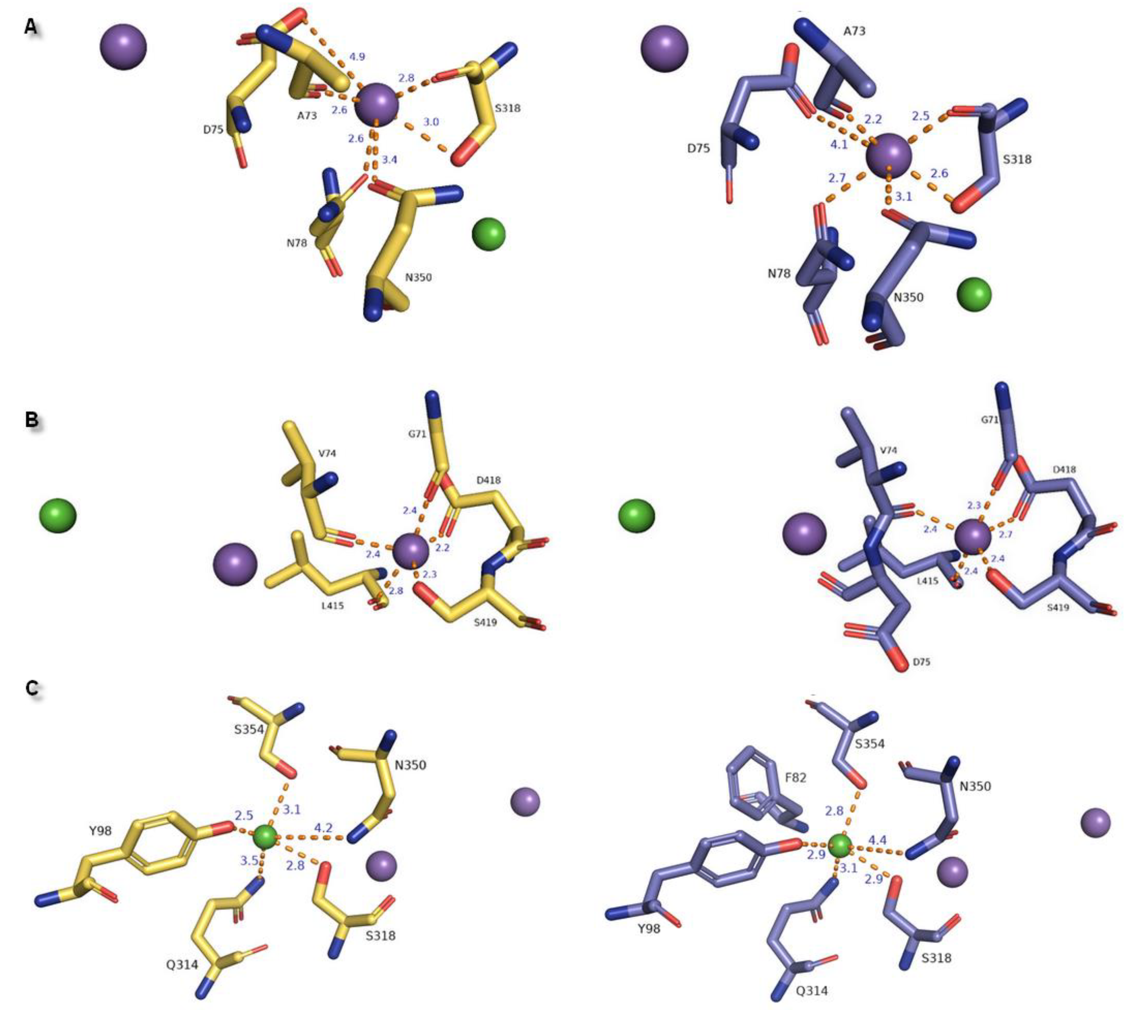 Biomolecules 10 00102 g008