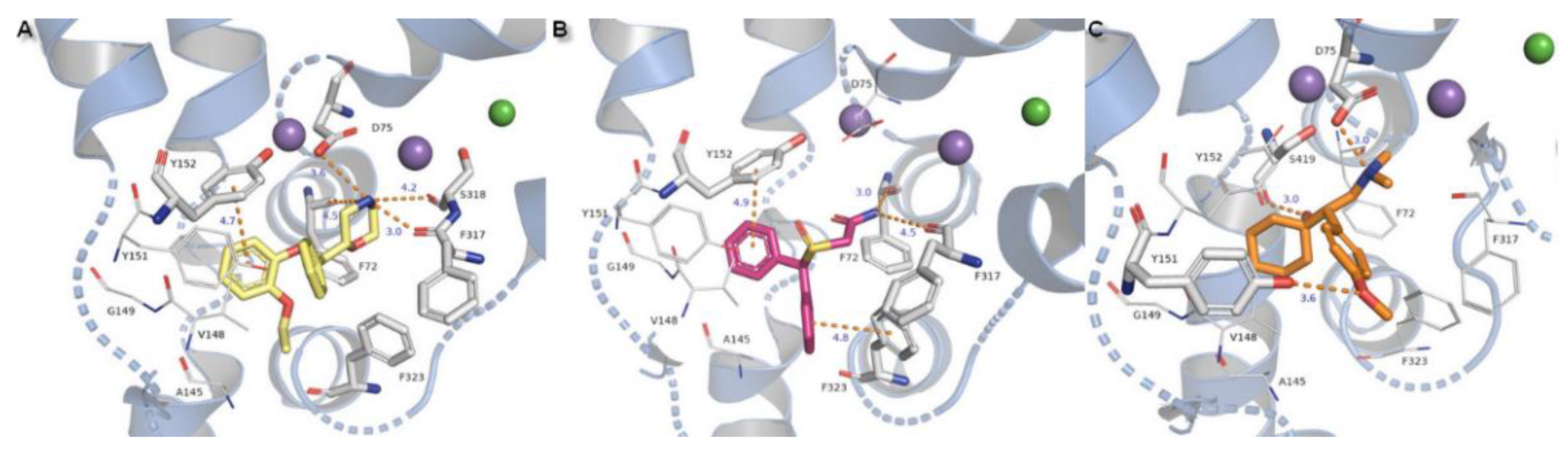 Biomolecules 10 00102 g012
