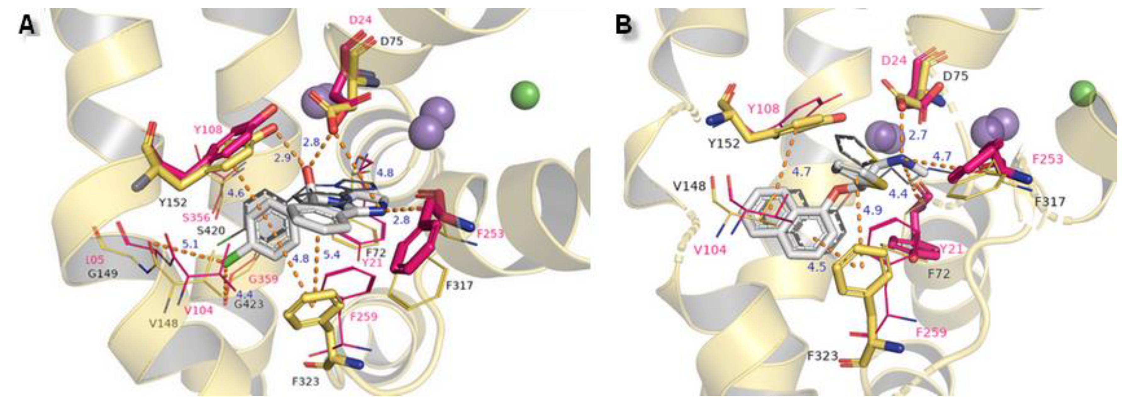 Biomolecules 10 00102 g014