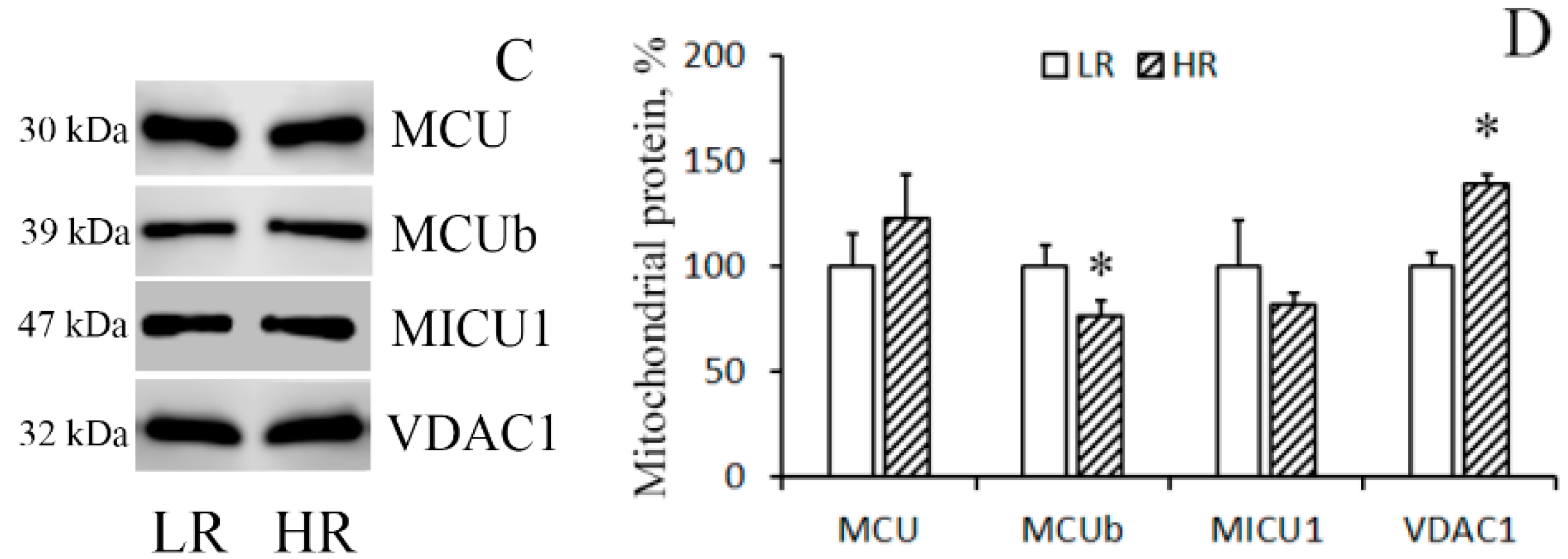 Biomolecules 10 00114 g002b Biomolecules 10 00114 g002b