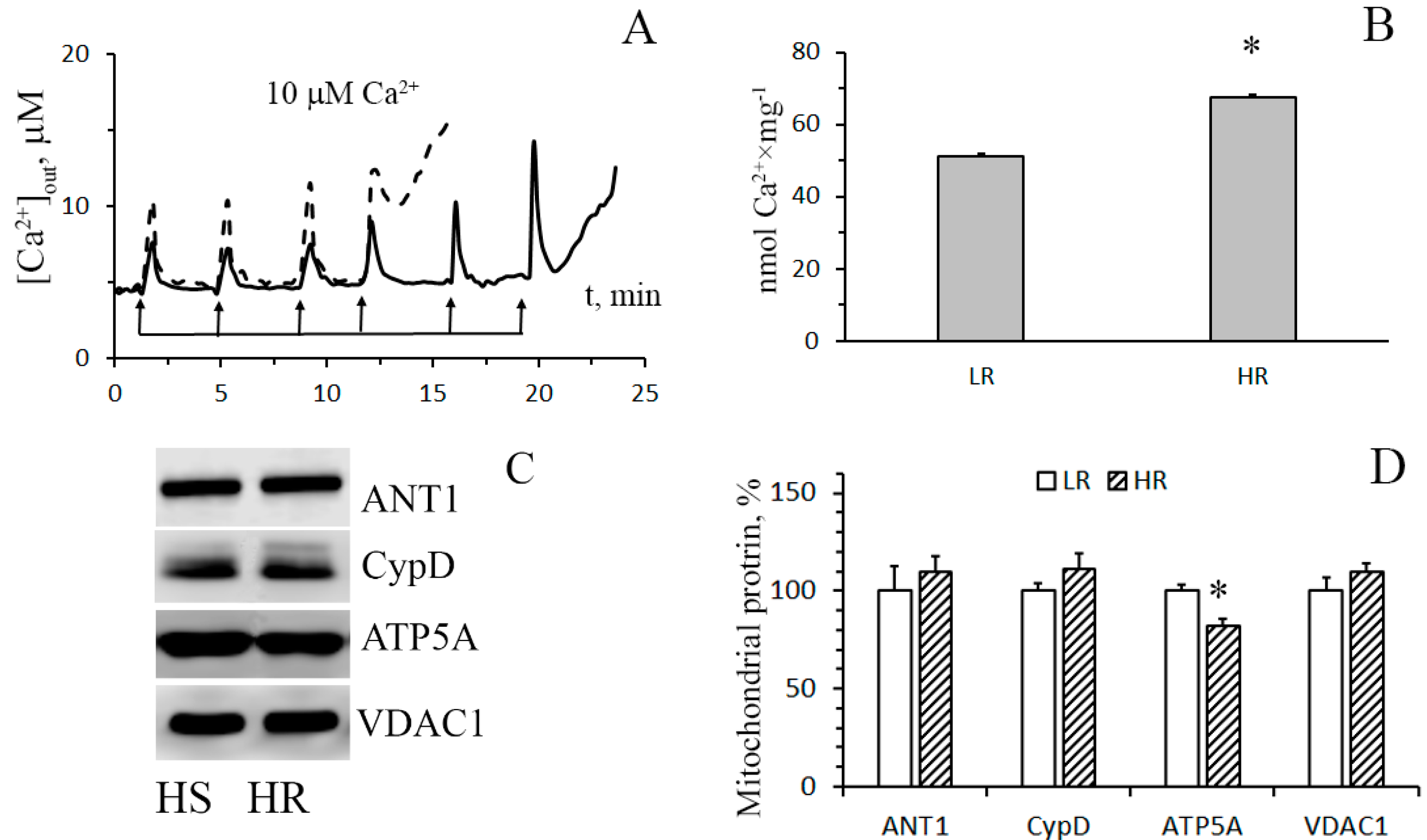 Biomolecules 10 00114 g004 Biomolecules 10 00114 g004
