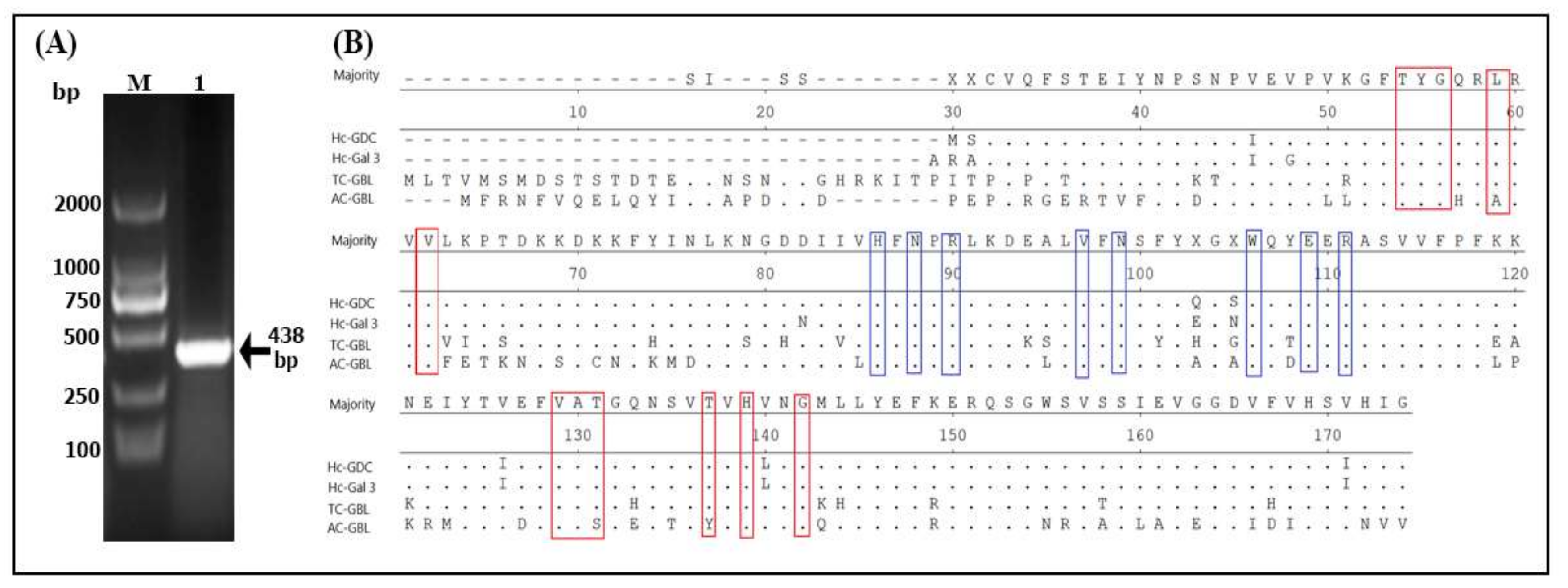 Biomolecules 10 00116 g001