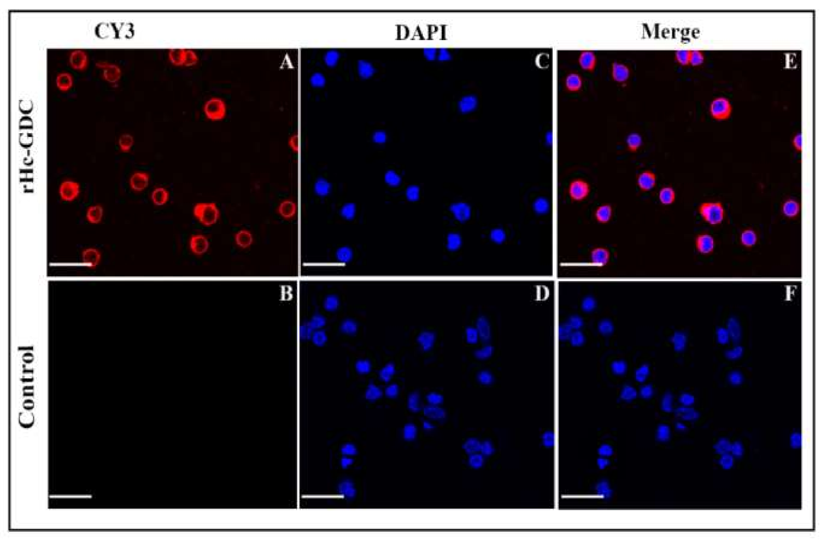 Biomolecules 10 00116 g004