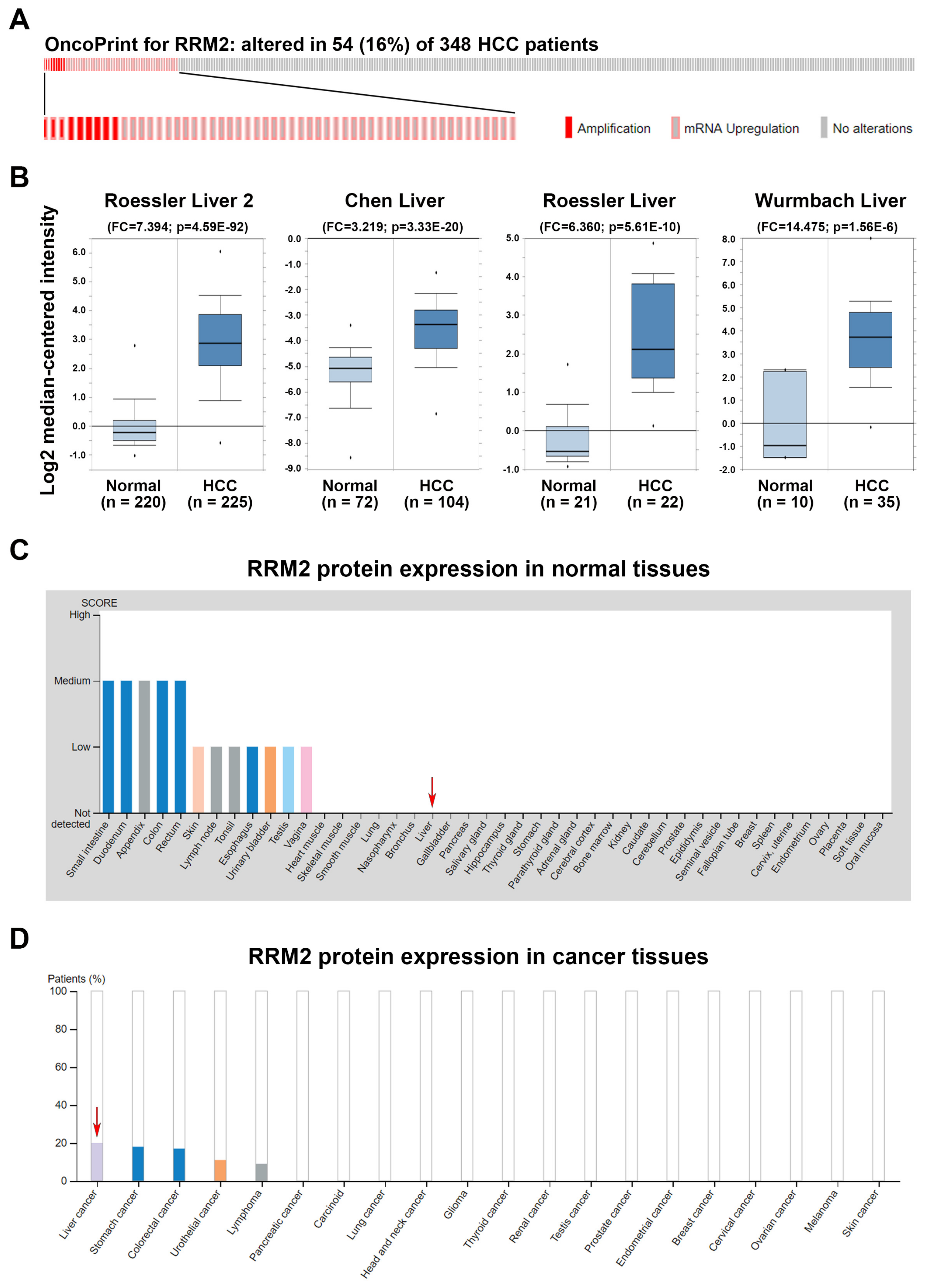 Biomolecules 10 00117 g002