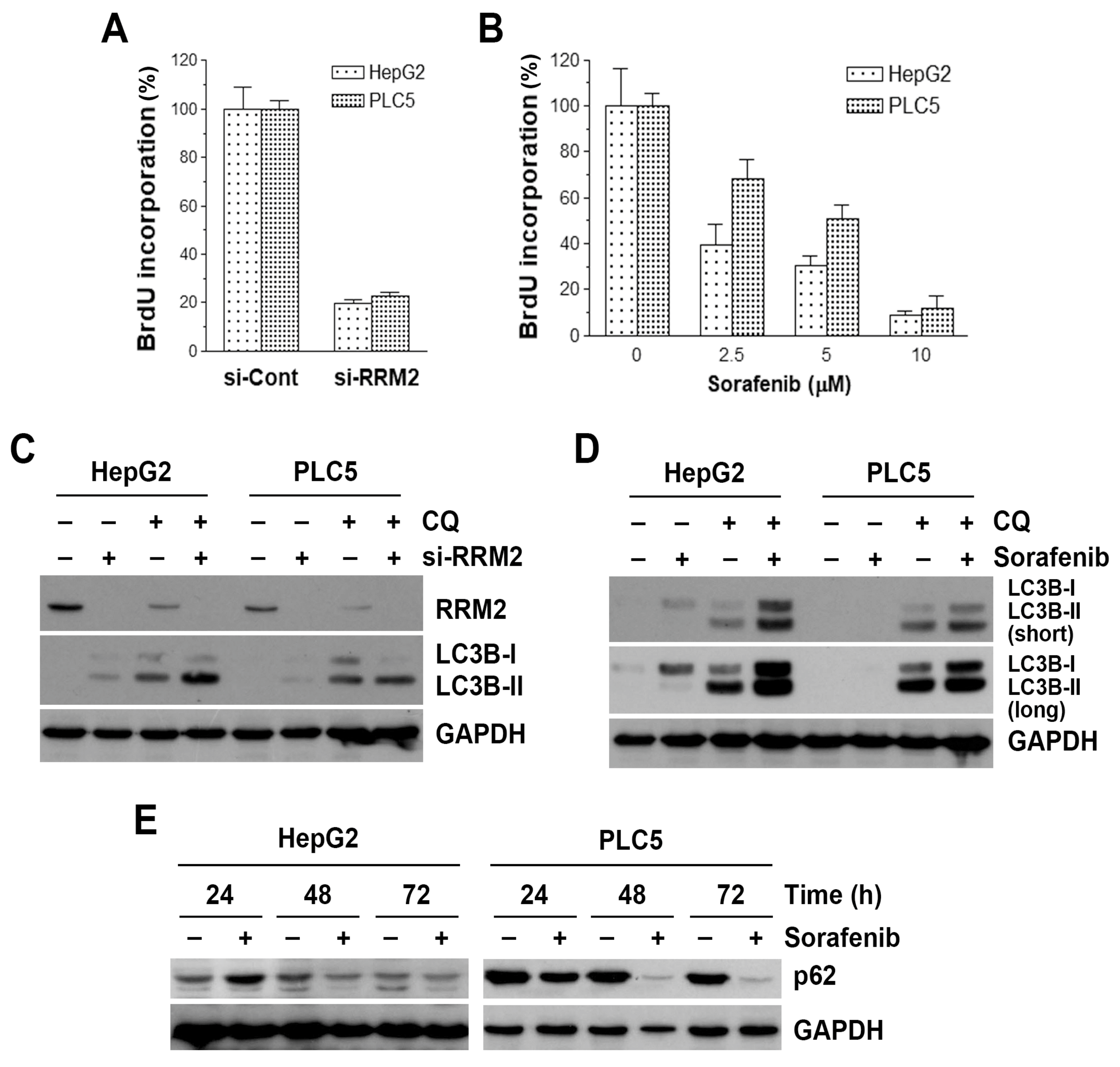Biomolecules 10 00117 g004