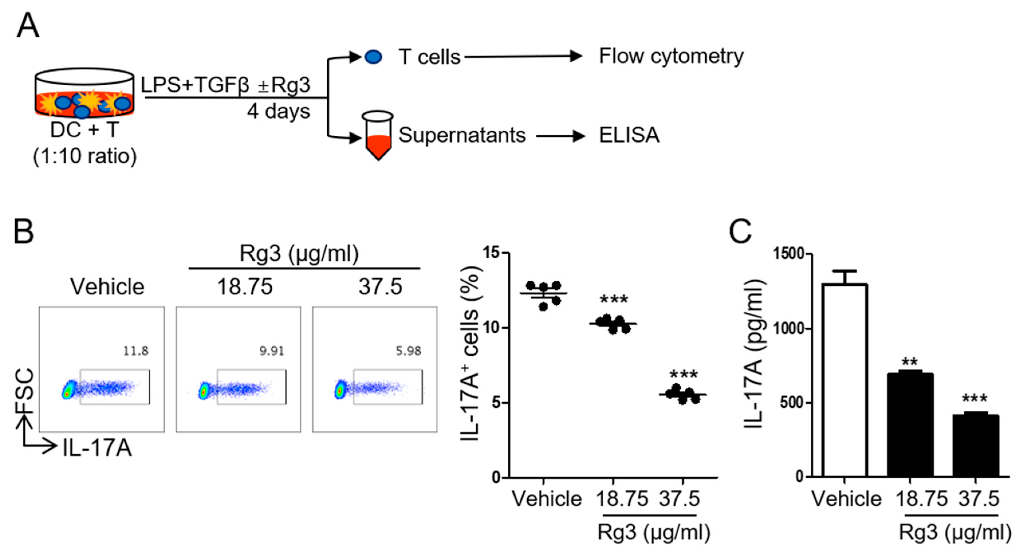 Biomolecules 10 00122 g002