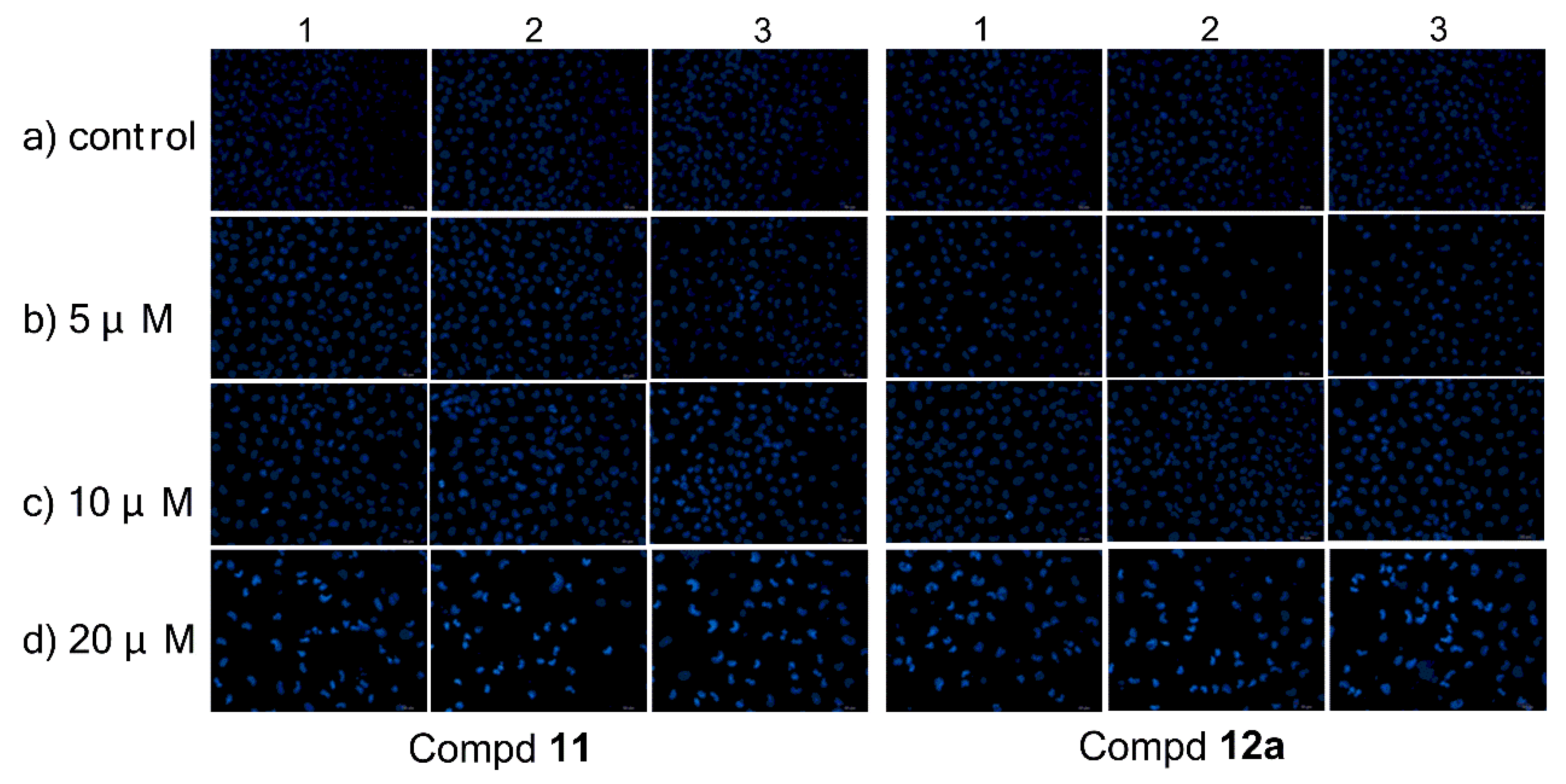 Biomolecules 10 00123 g002 Biomolecules 10 00123 g002