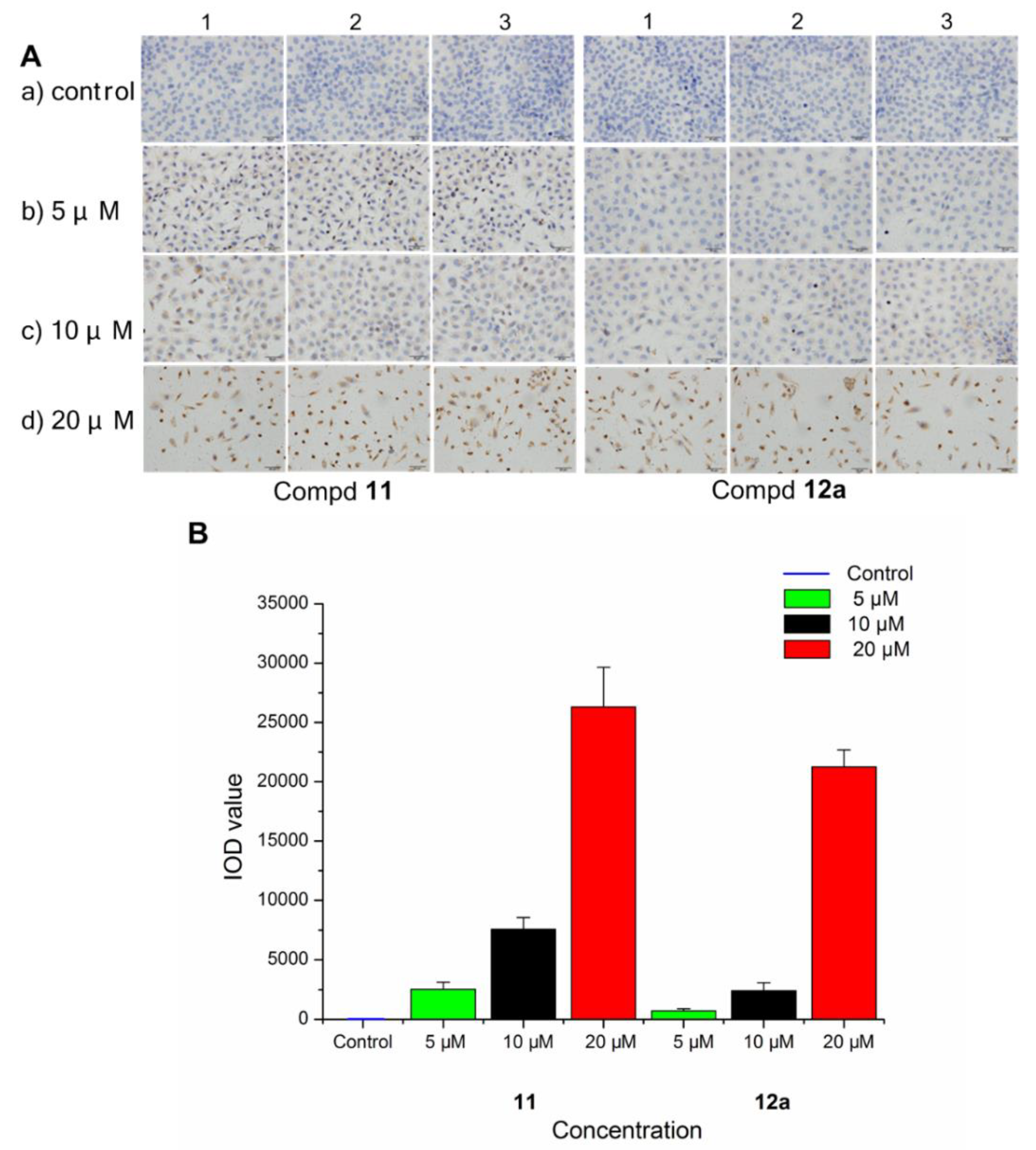 Biomolecules 10 00123 g006 Biomolecules 10 00123 g006