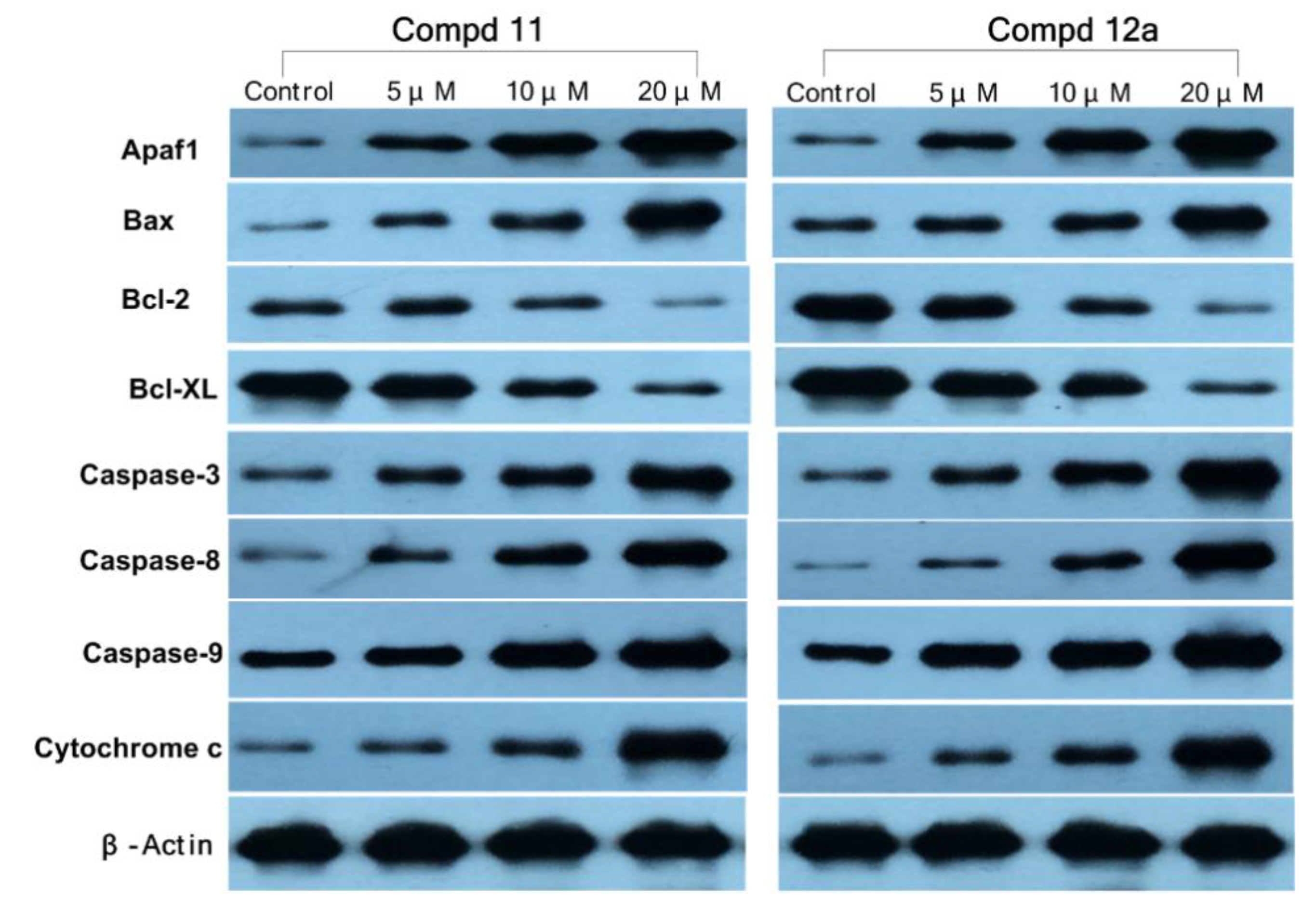 Biomolecules 10 00123 g008 Biomolecules 10 00123 g008