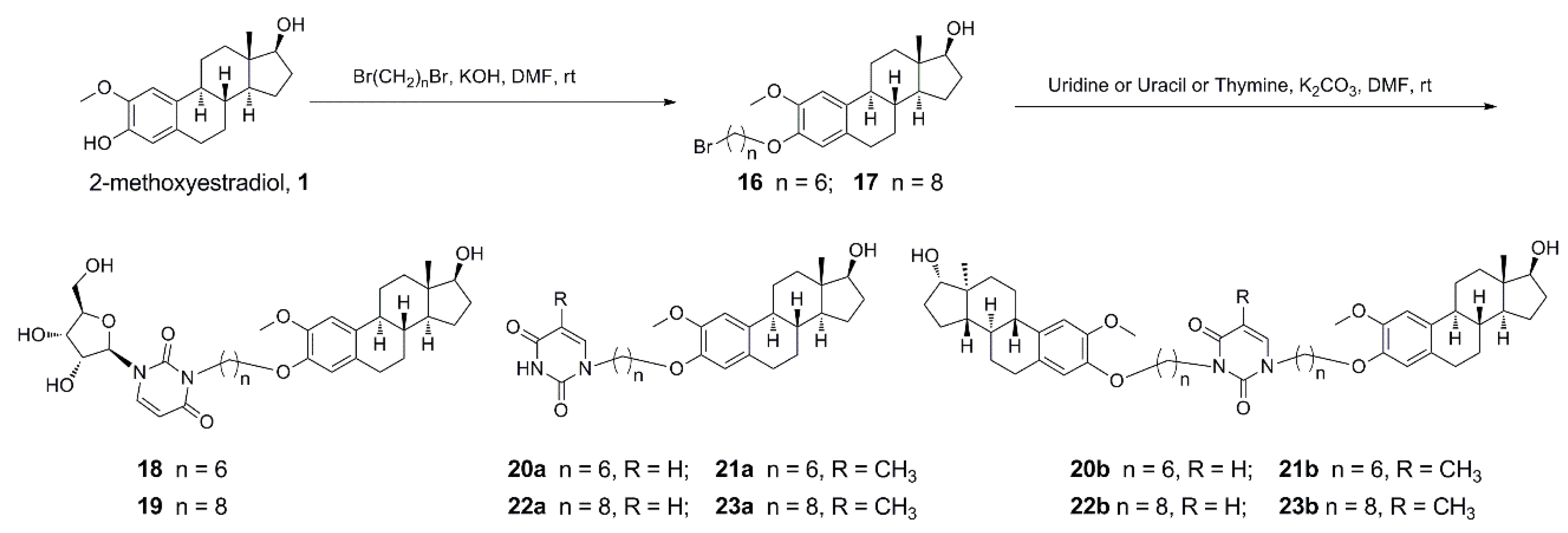 Biomolecules 10 00123 sch002 Biomolecules 10 00123 sch002
