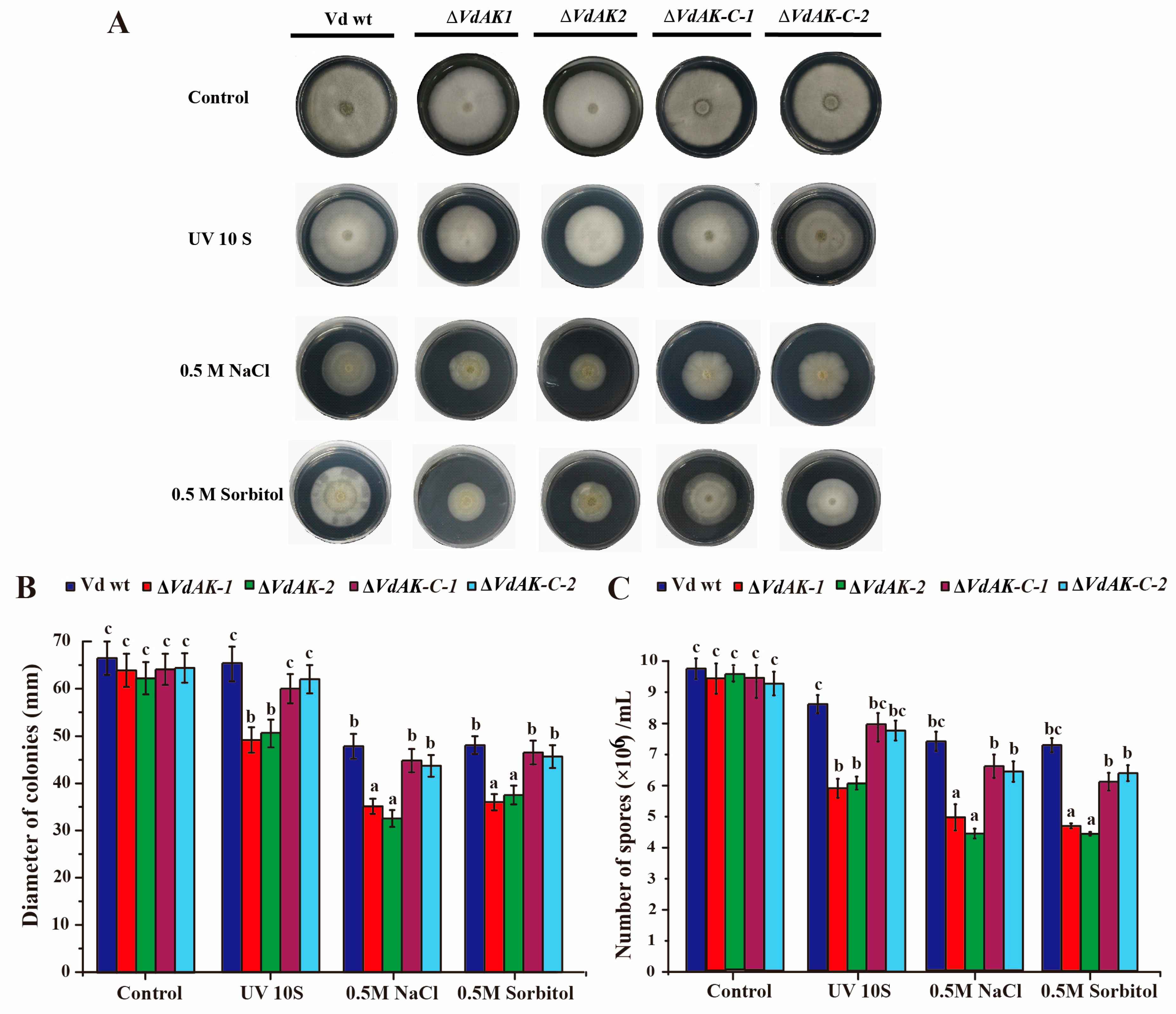 Biomolecules 10 00127 g002
