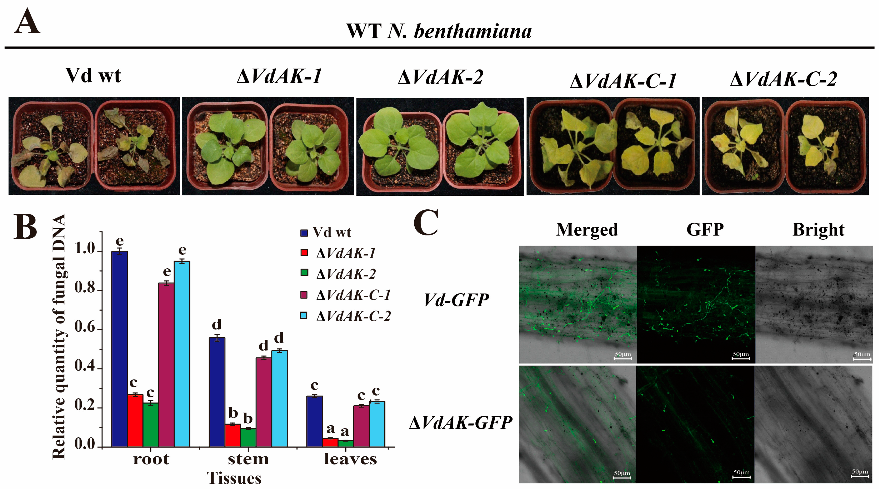 Biomolecules 10 00127 g003