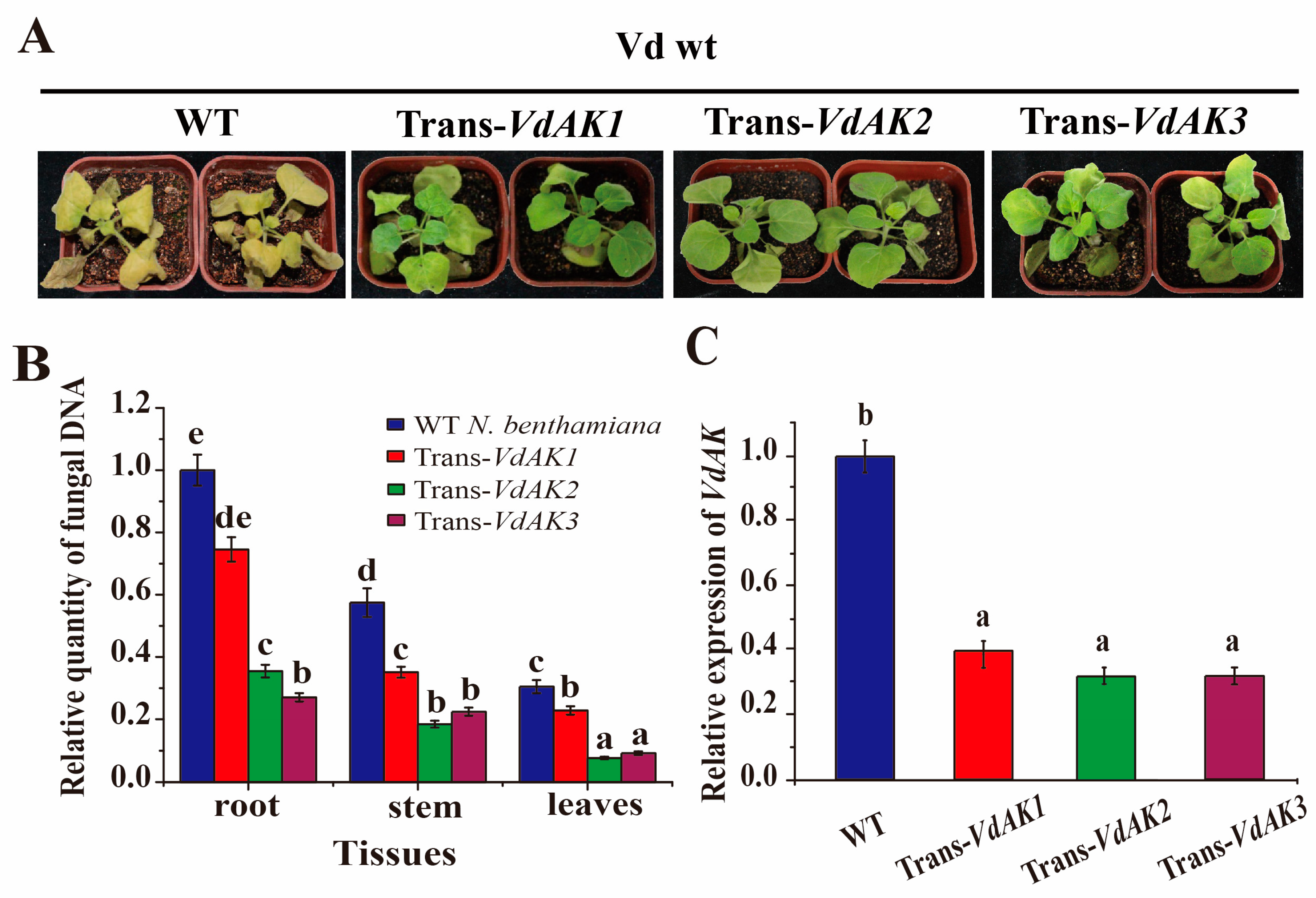 Biomolecules 10 00127 g004