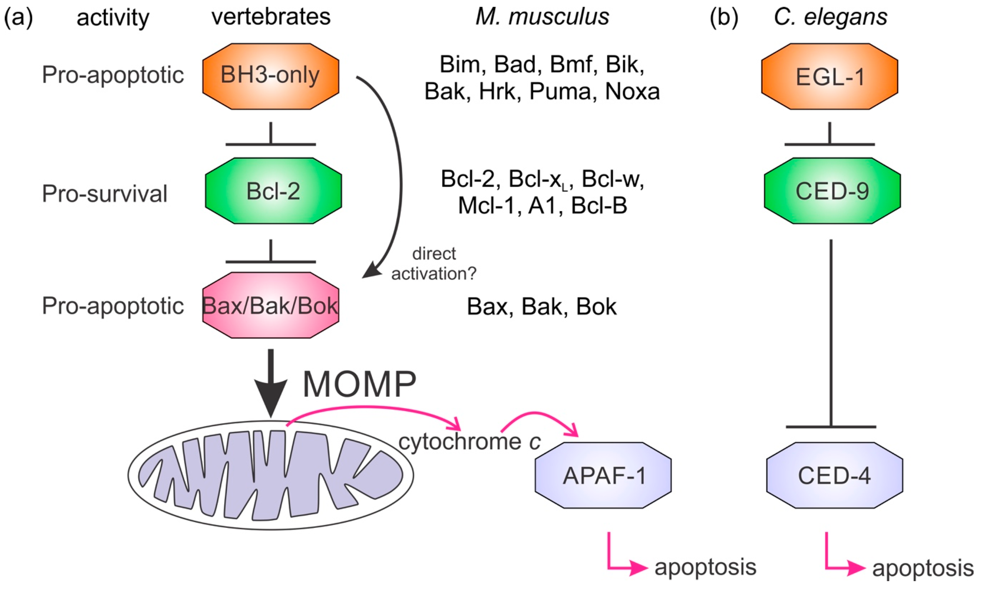 Biomolecules 10 00128 g001