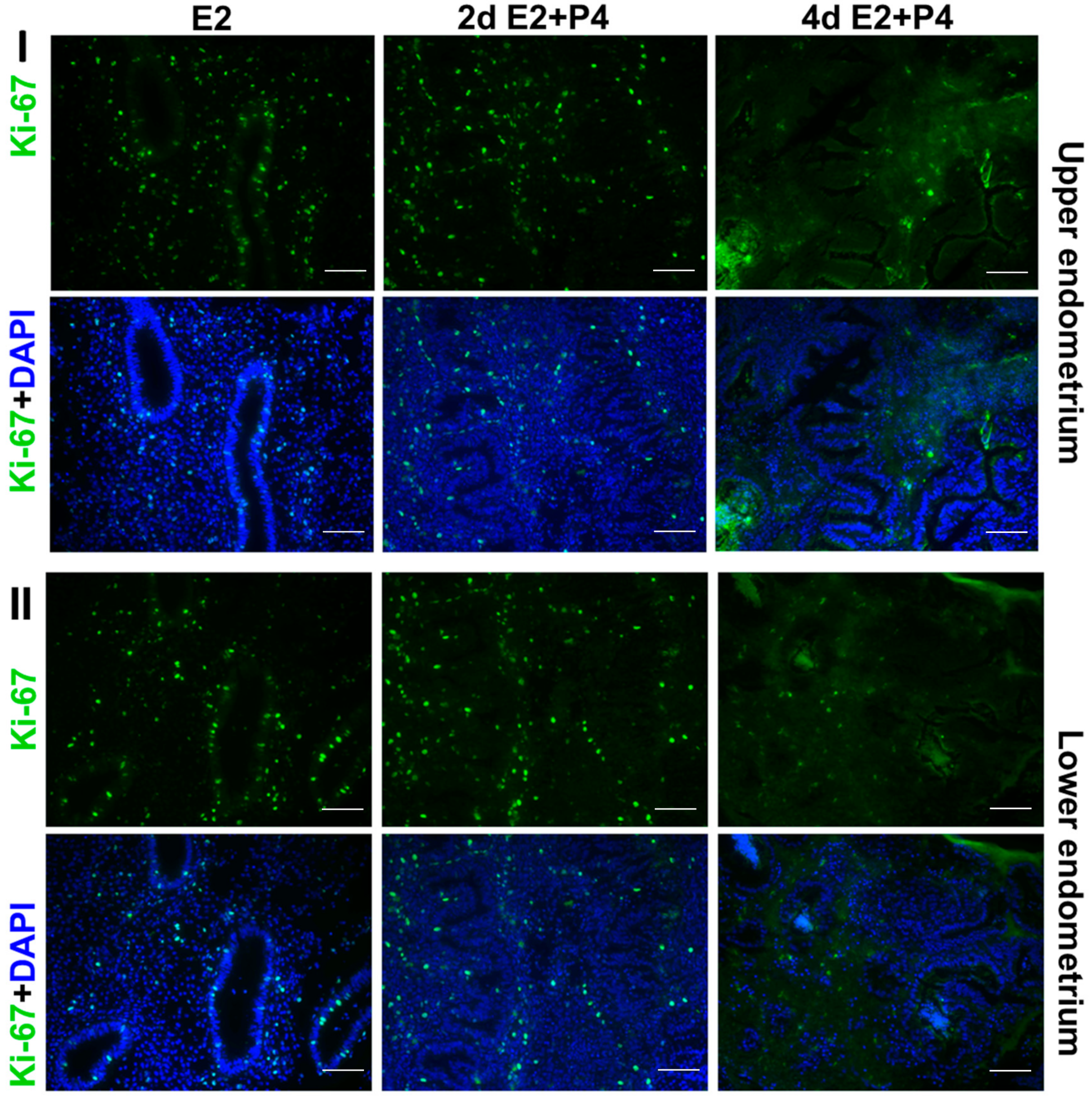 Biomolecules 10 00136 g004