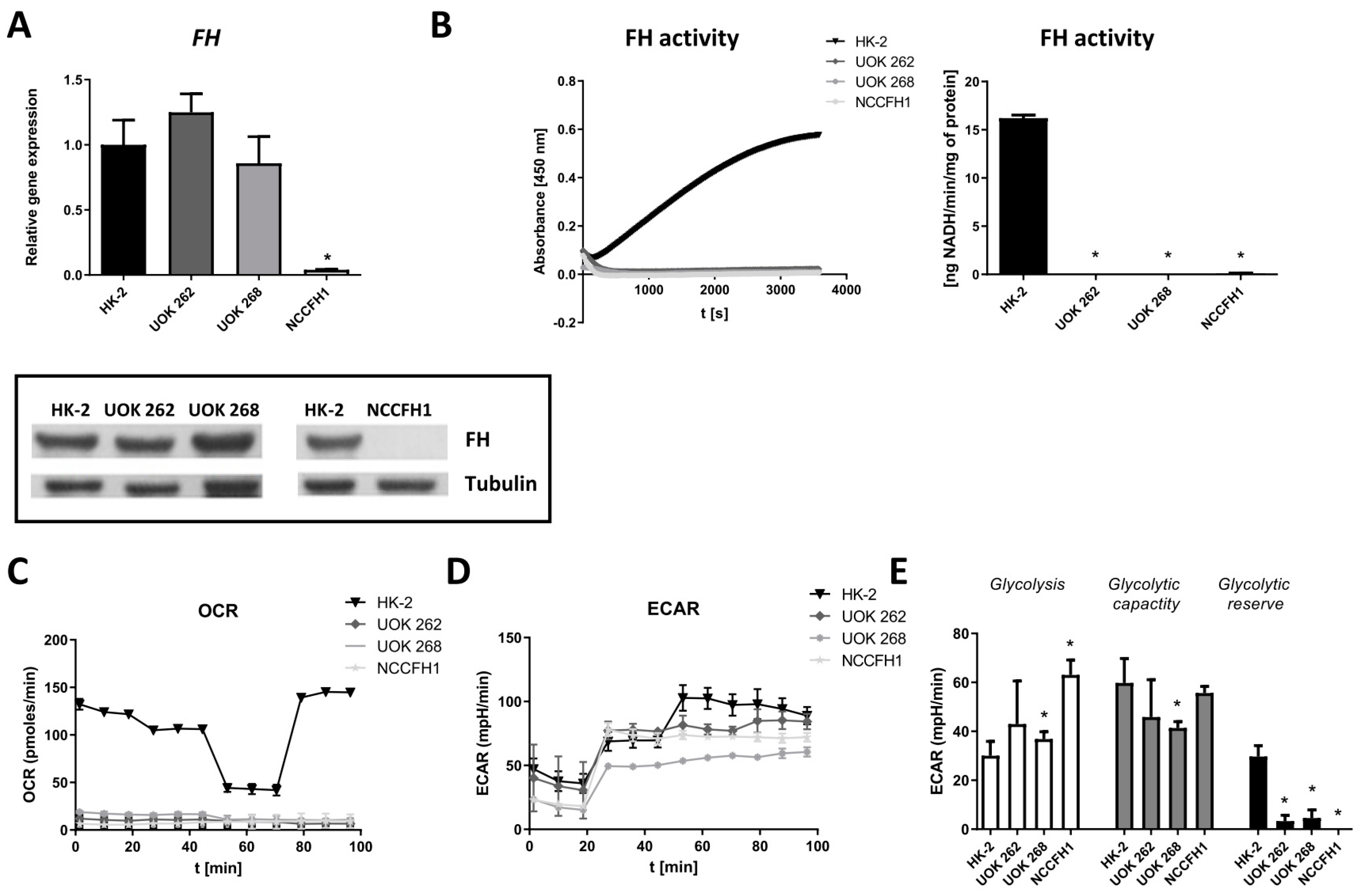 Biomolecules 10 00143 g001