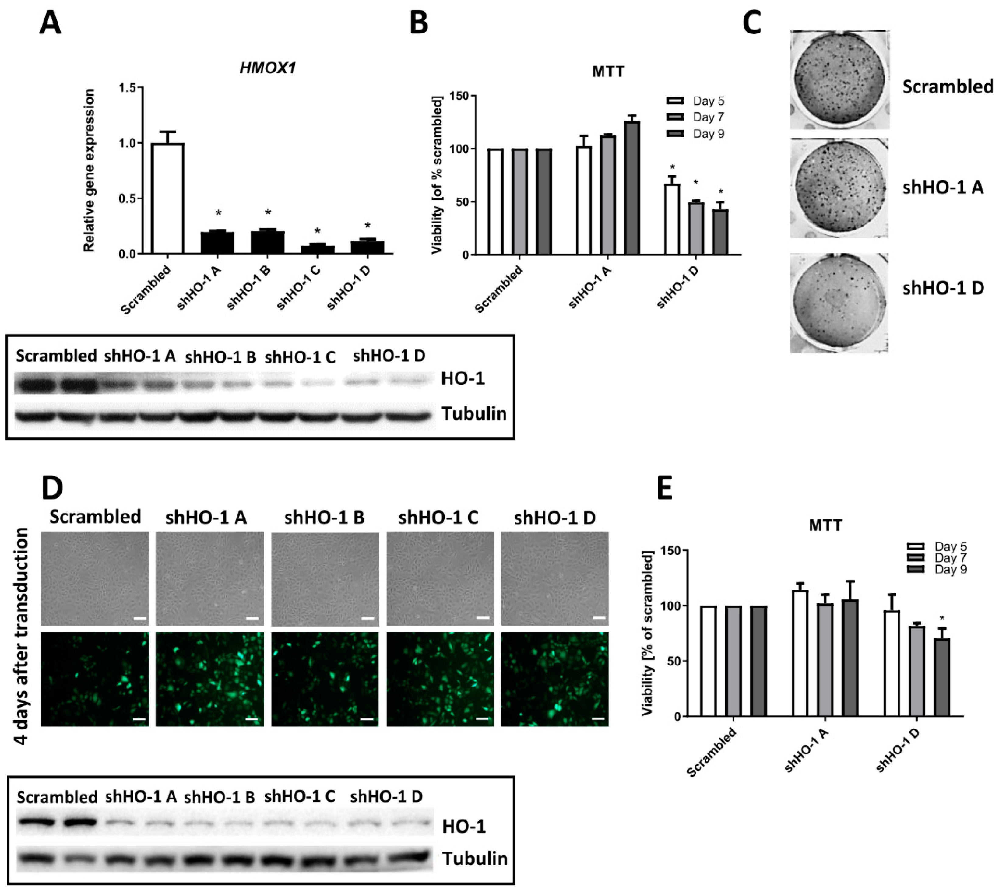 Biomolecules 10 00143 g004