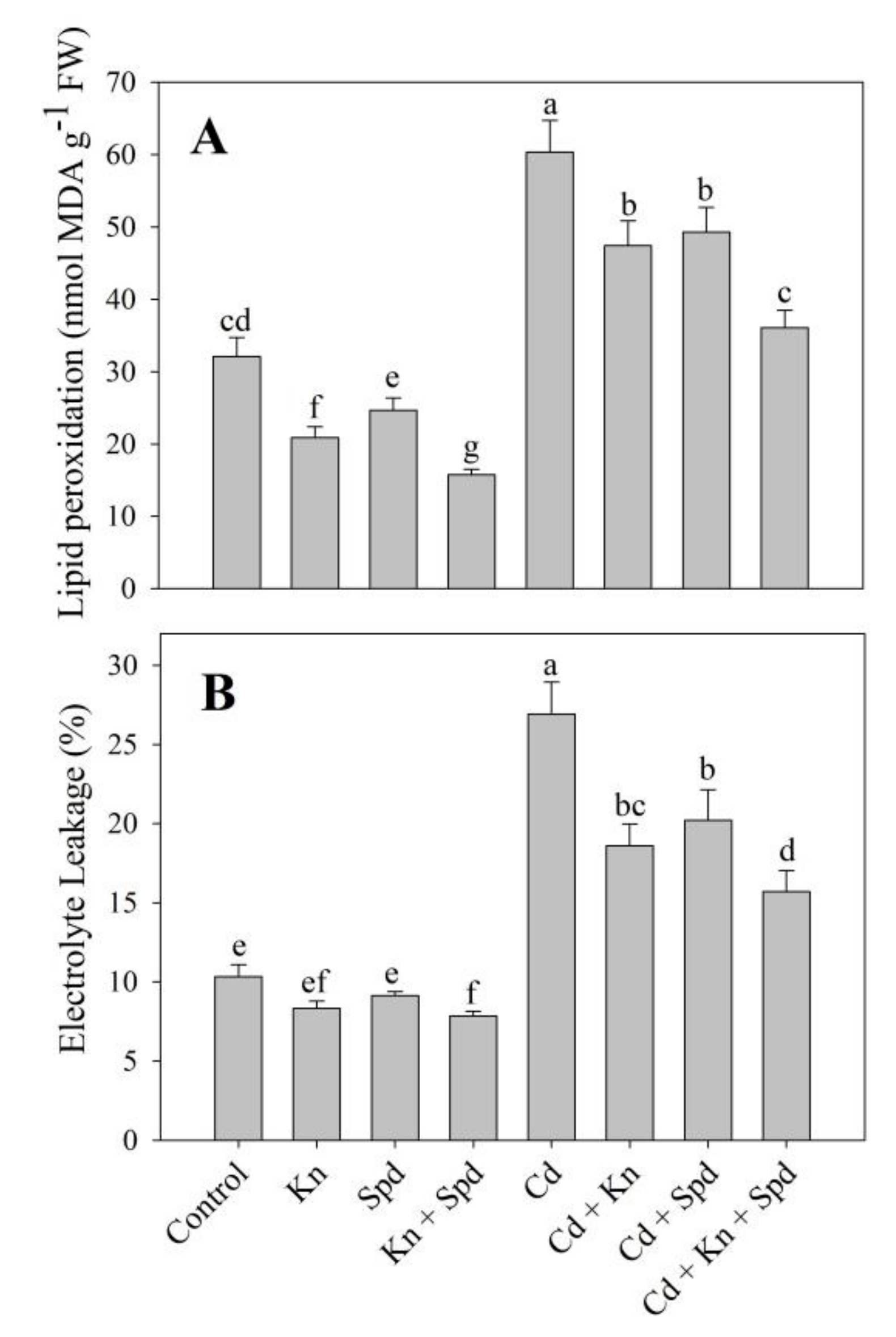 Biomolecules 10 00147 g002 Biomolecules 10 00147 g002