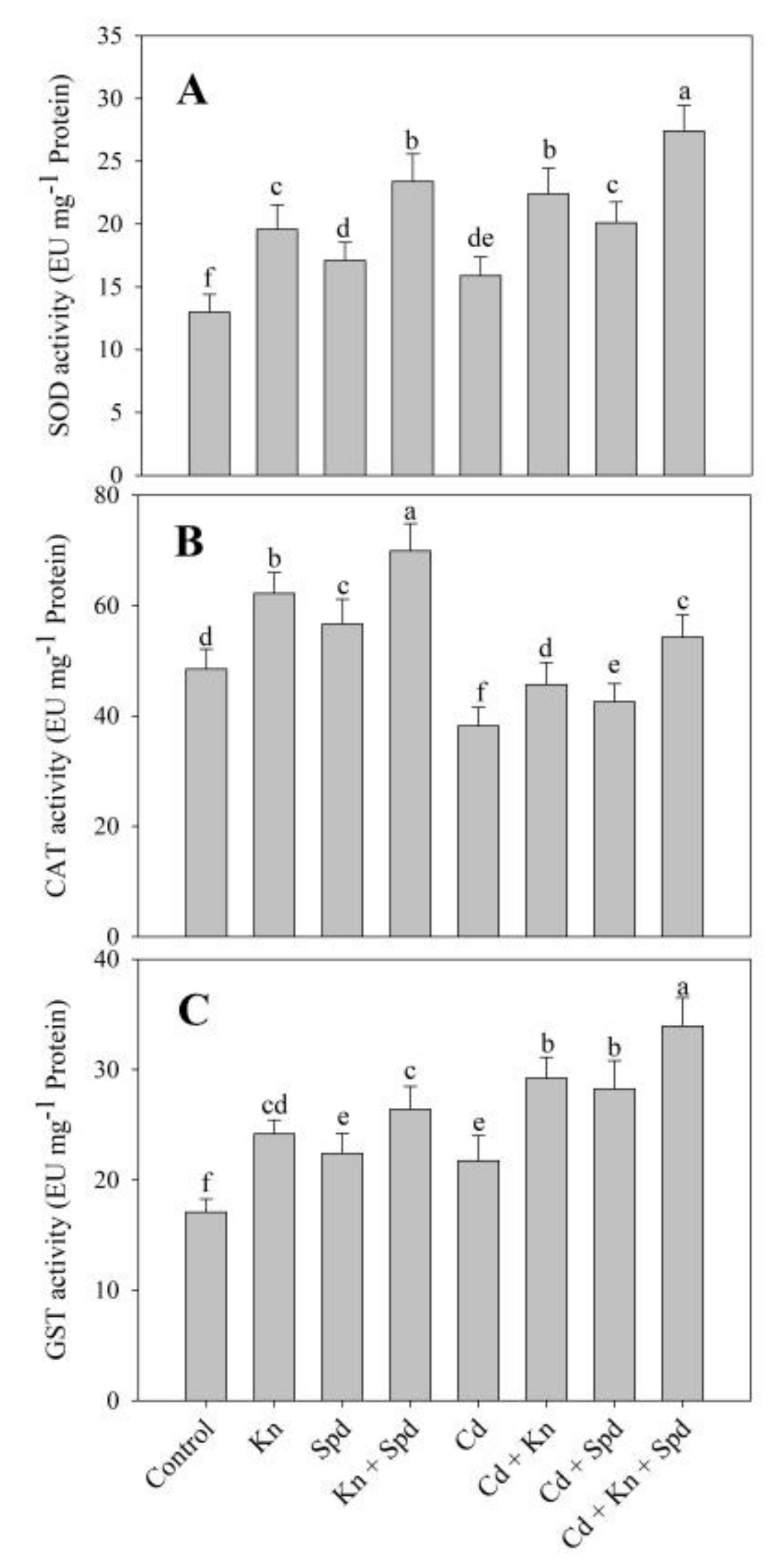 Biomolecules 10 00147 g004 Biomolecules 10 00147 g004