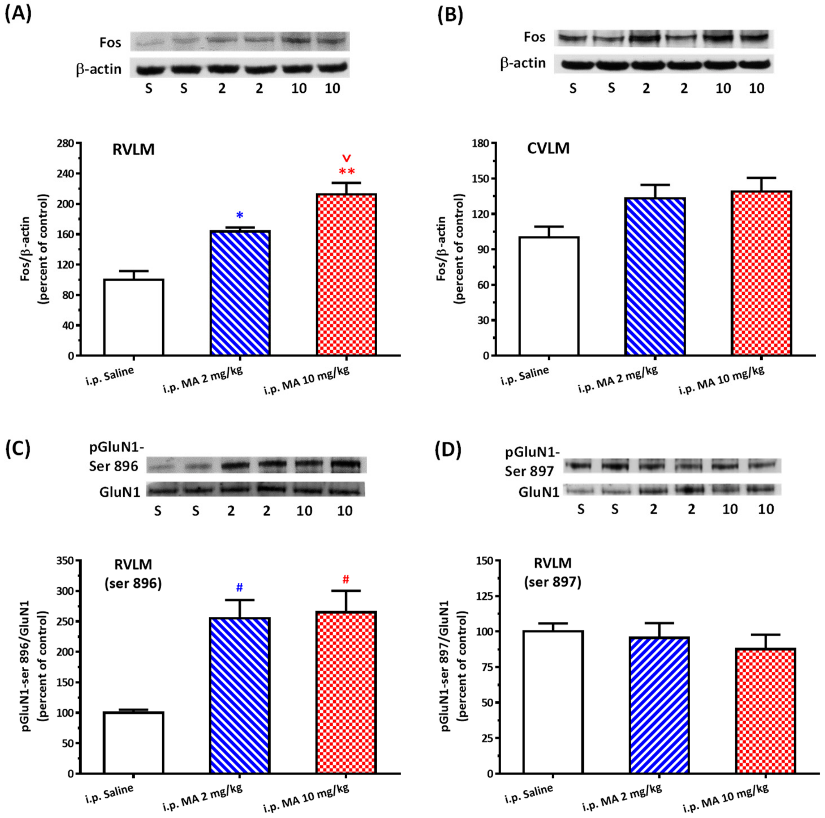 Biomolecules 10 00149 g002 Biomolecules 10 00149 g002