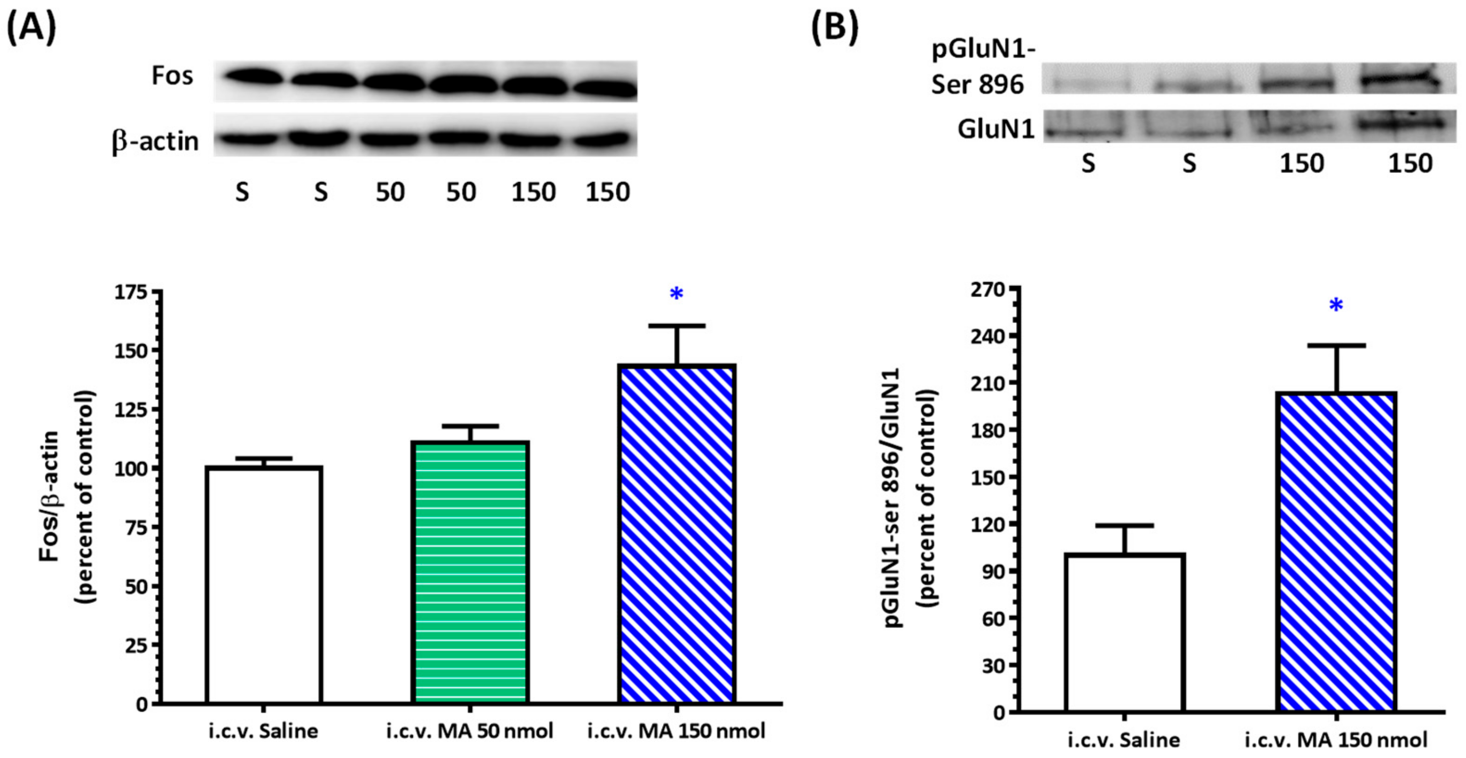 Biomolecules 10 00149 g004 Biomolecules 10 00149 g004