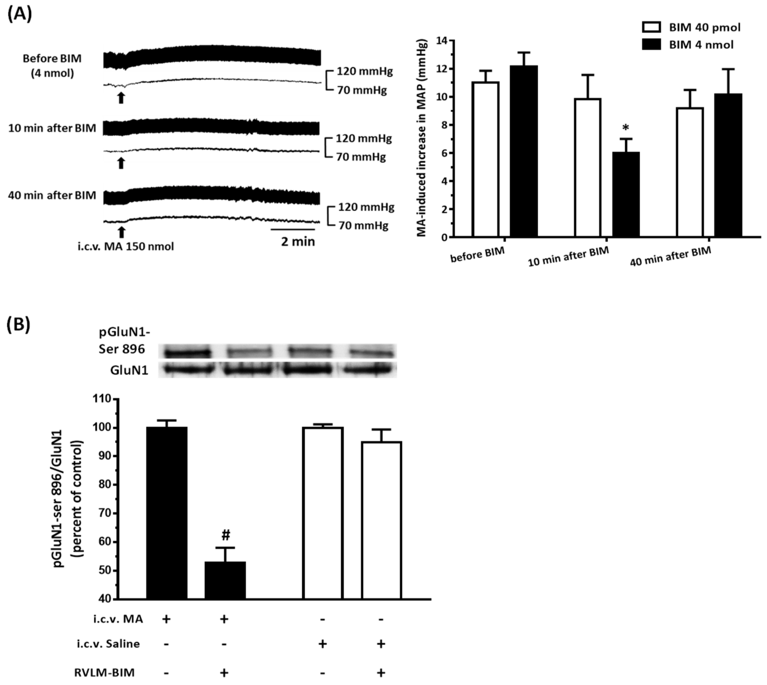 Biomolecules 10 00149 g006 Biomolecules 10 00149 g006