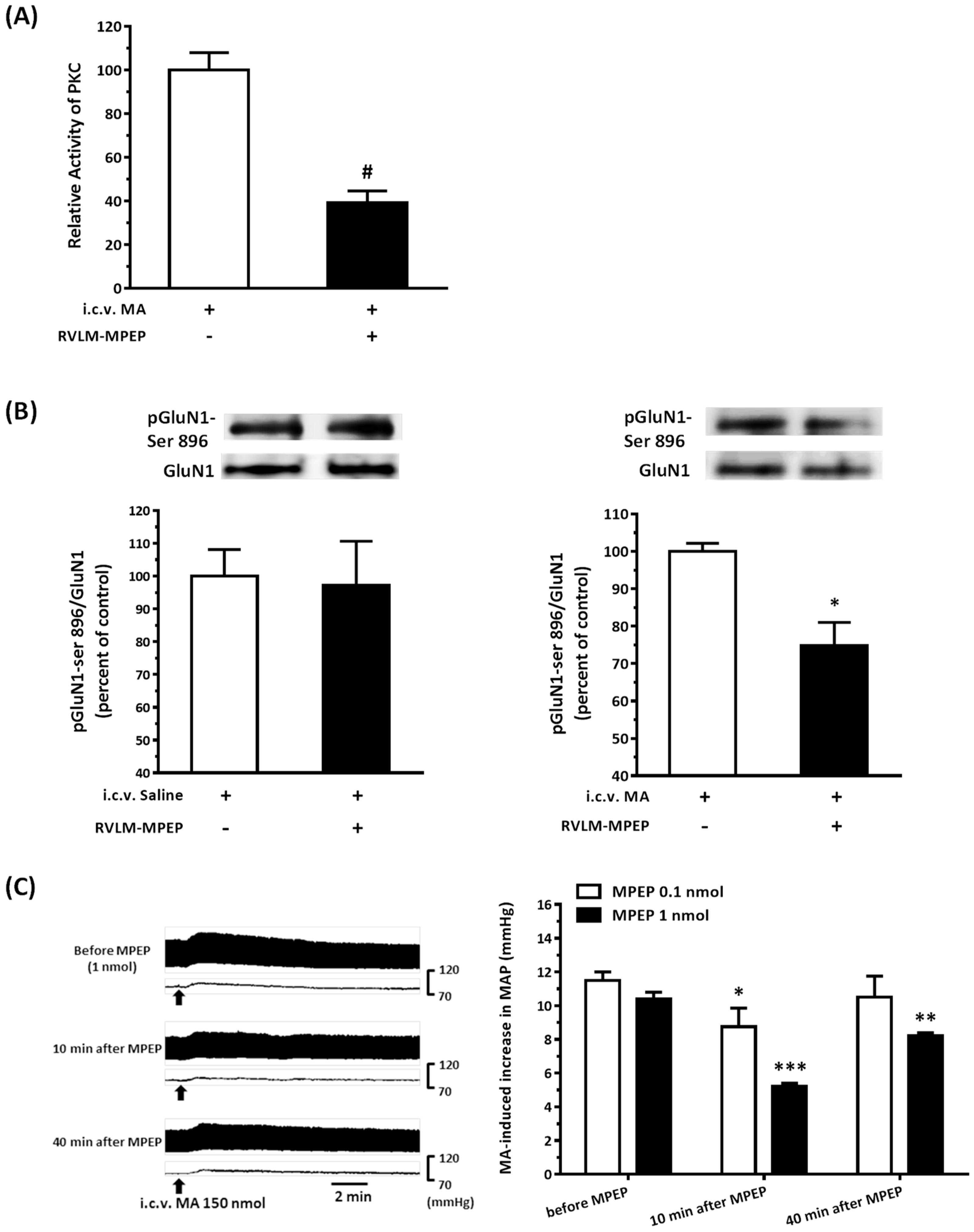 Biomolecules 10 00149 g008 Biomolecules 10 00149 g008