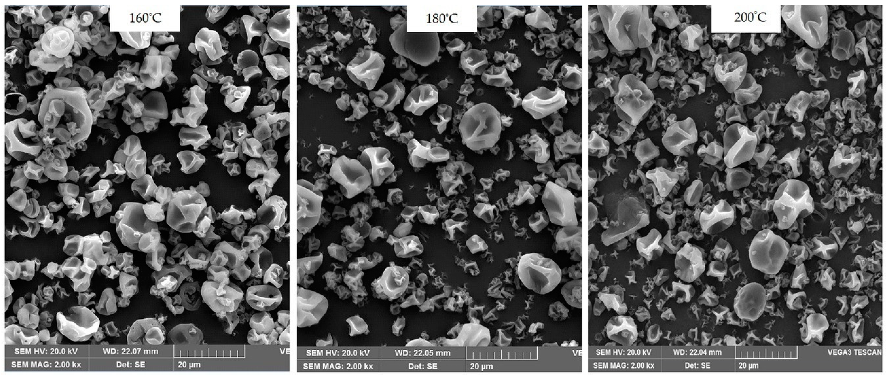 Biomolecules 10 00153 g002