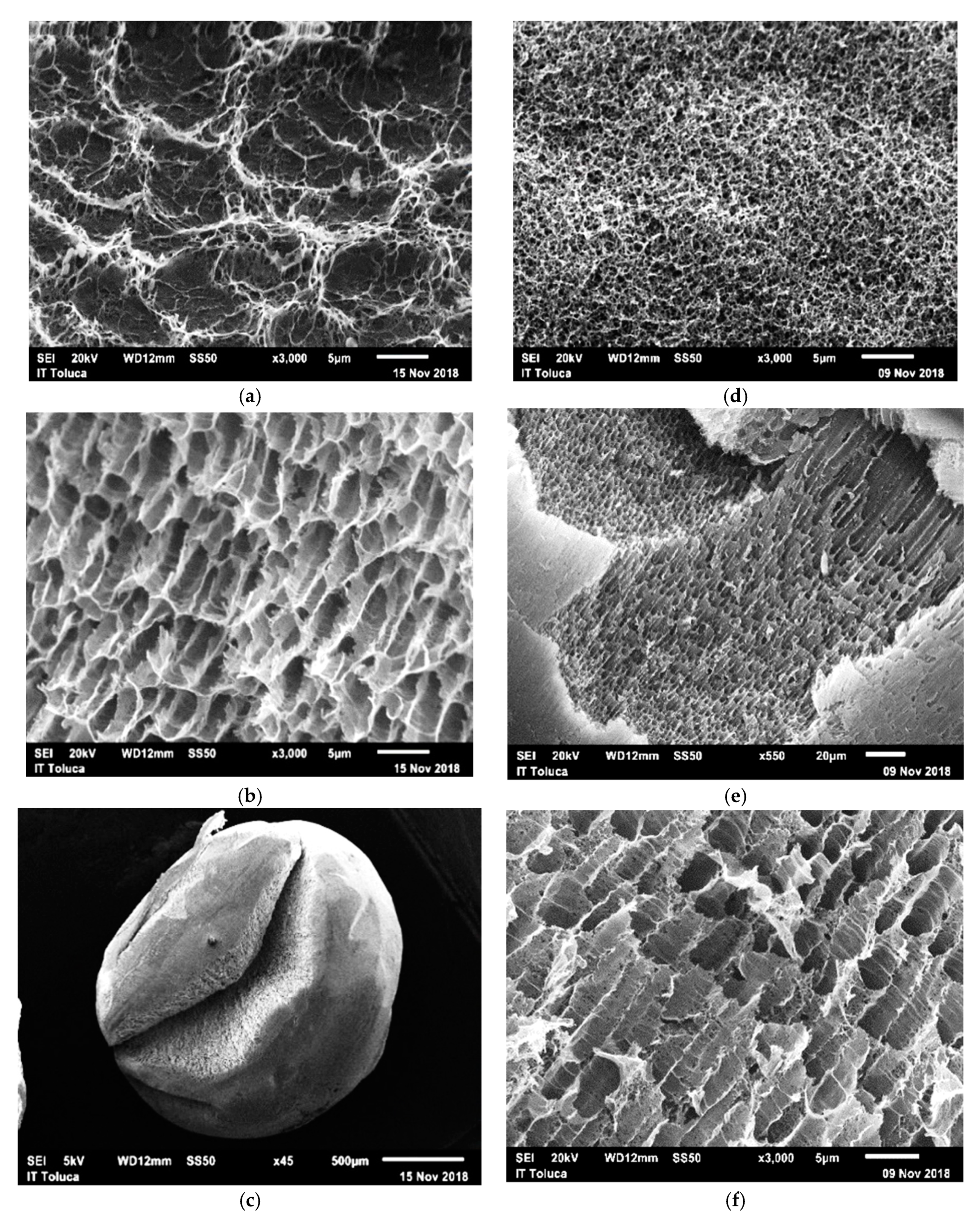 Biomolecules 10 00156 g003 Biomolecules 10 00156 g003