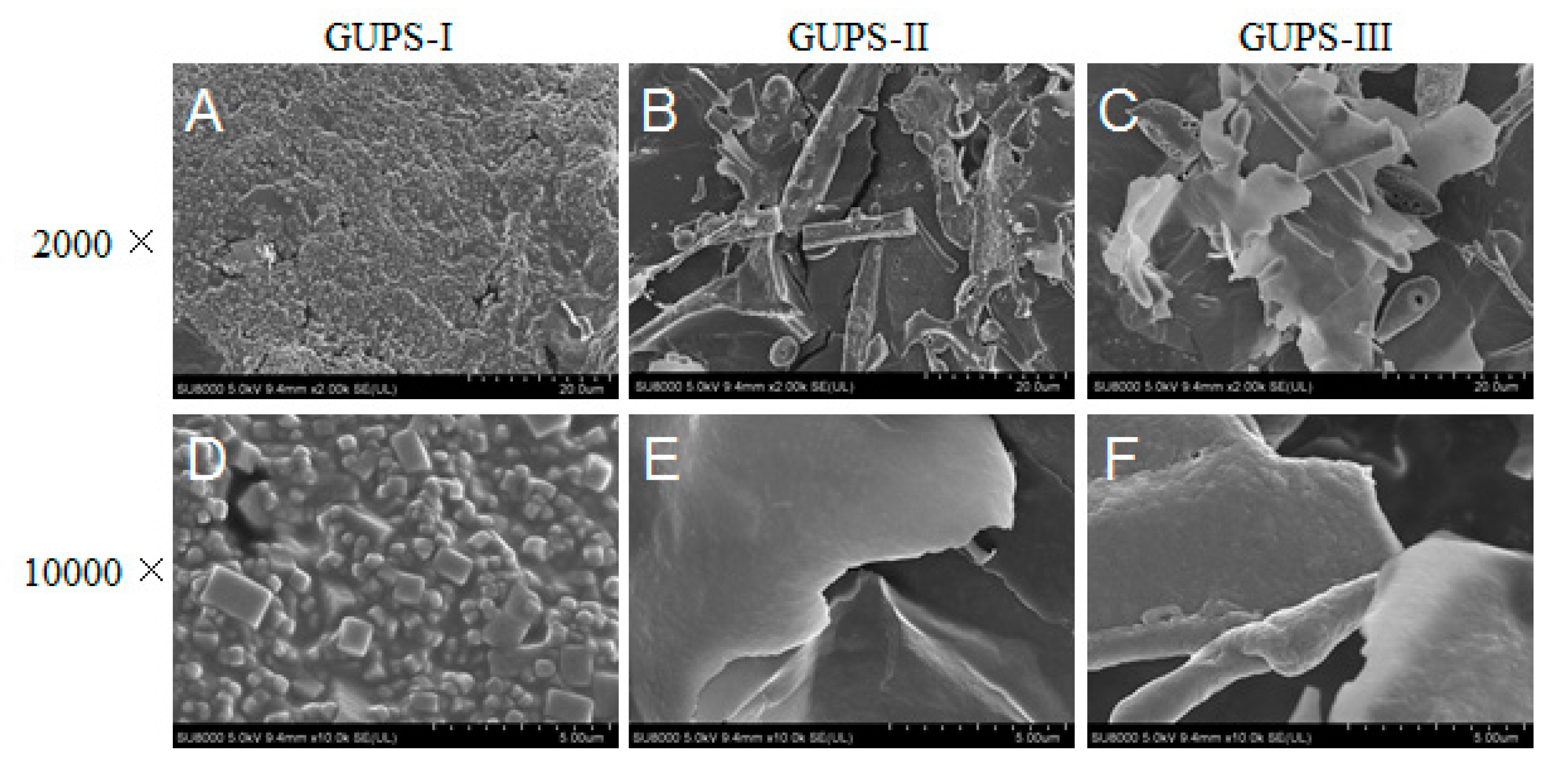 Biomolecules 10 00159 g003