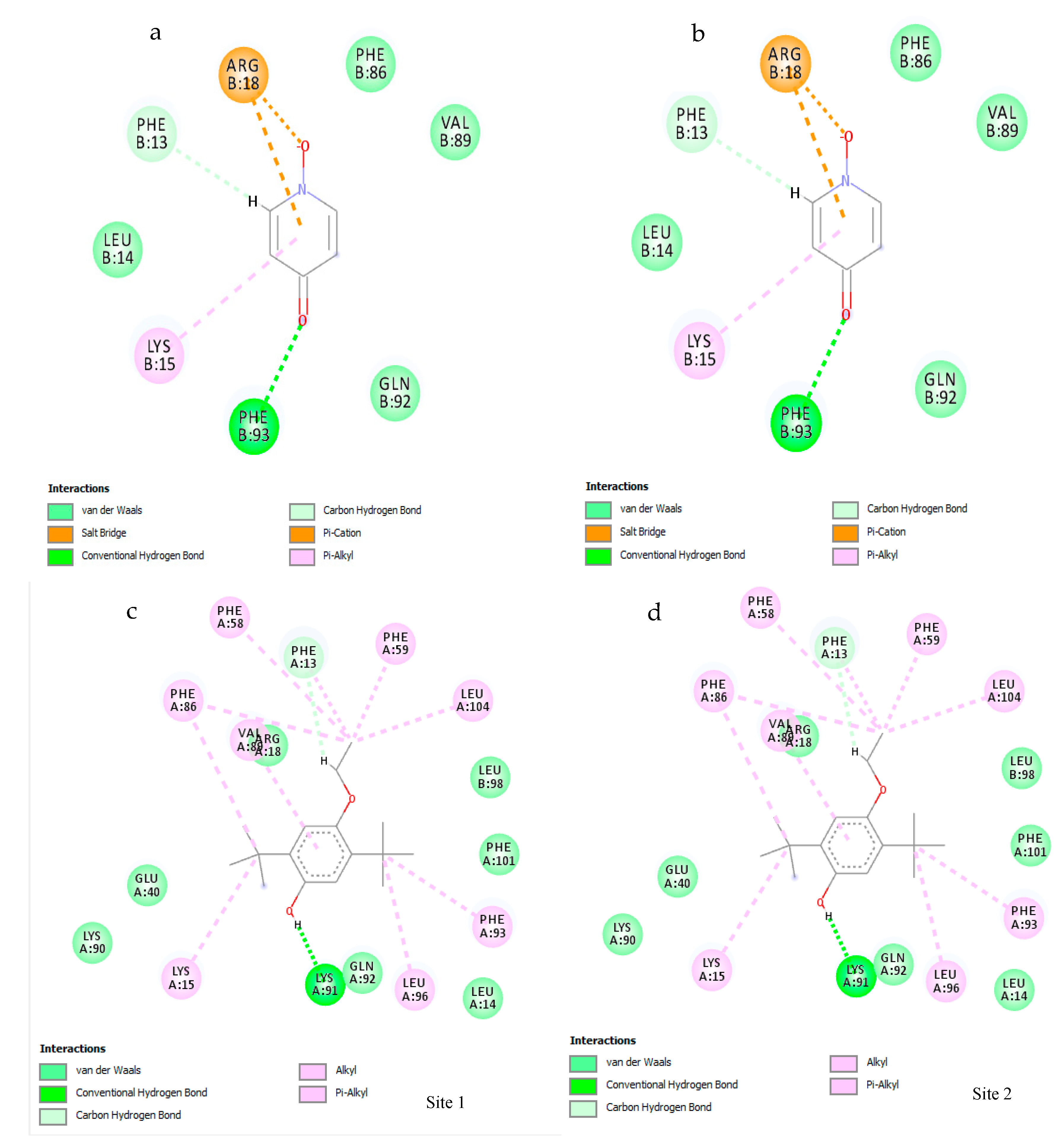 Biomolecules 10 00165 g004
