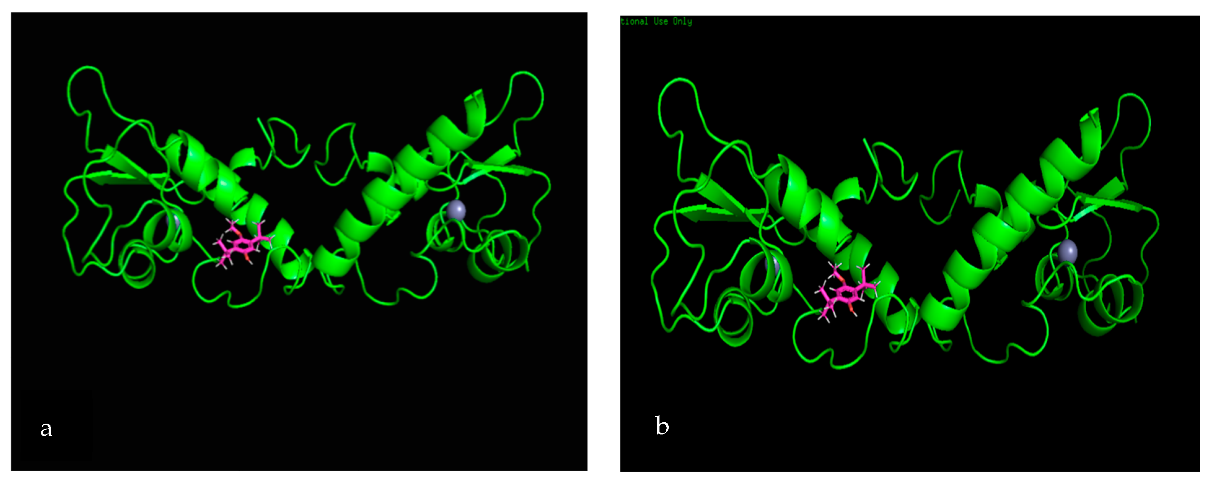 Biomolecules 10 00165 g005